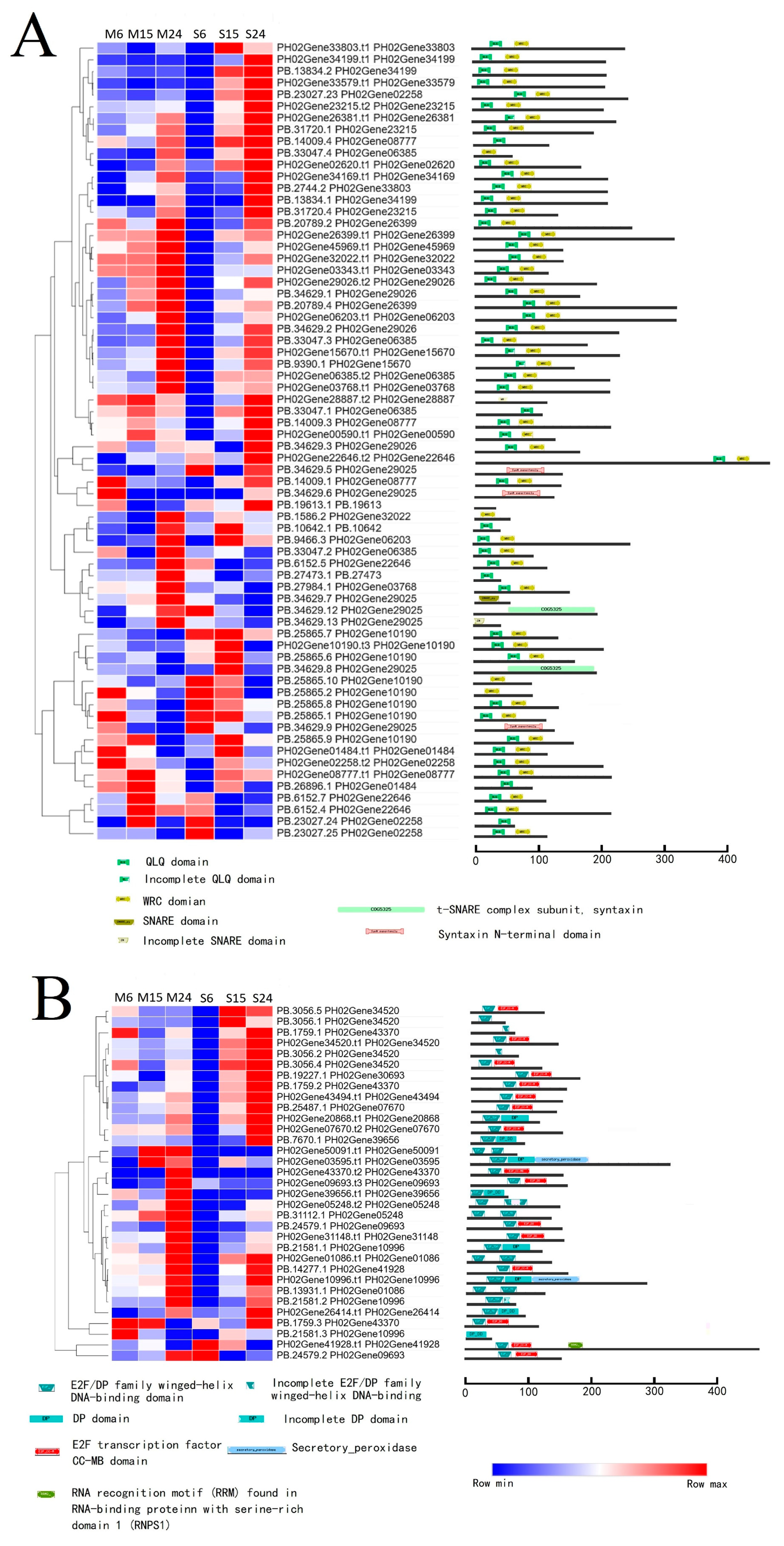 Forests 15 01233 g007