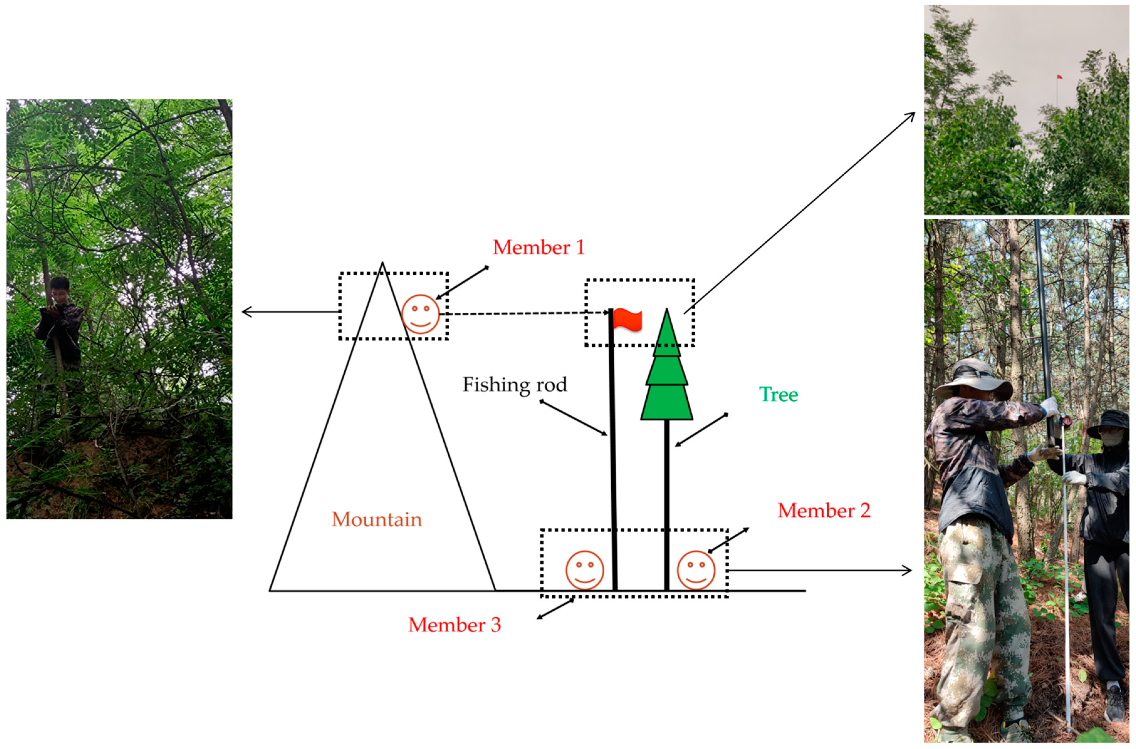 Forests 15 01242 g002
