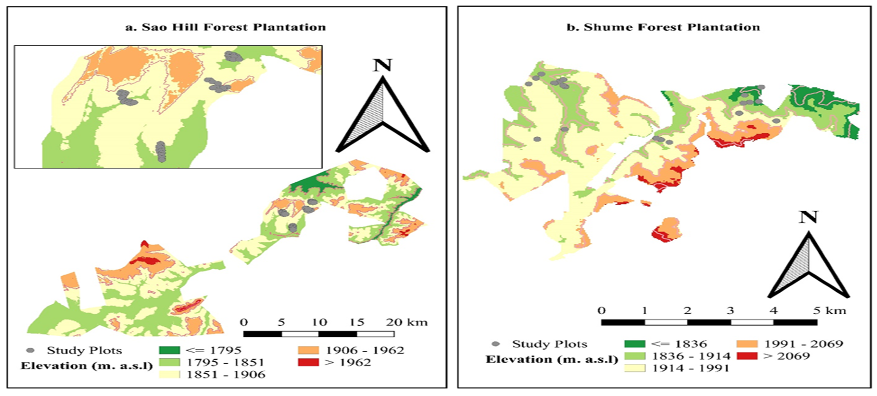Forests 15 01247 g002