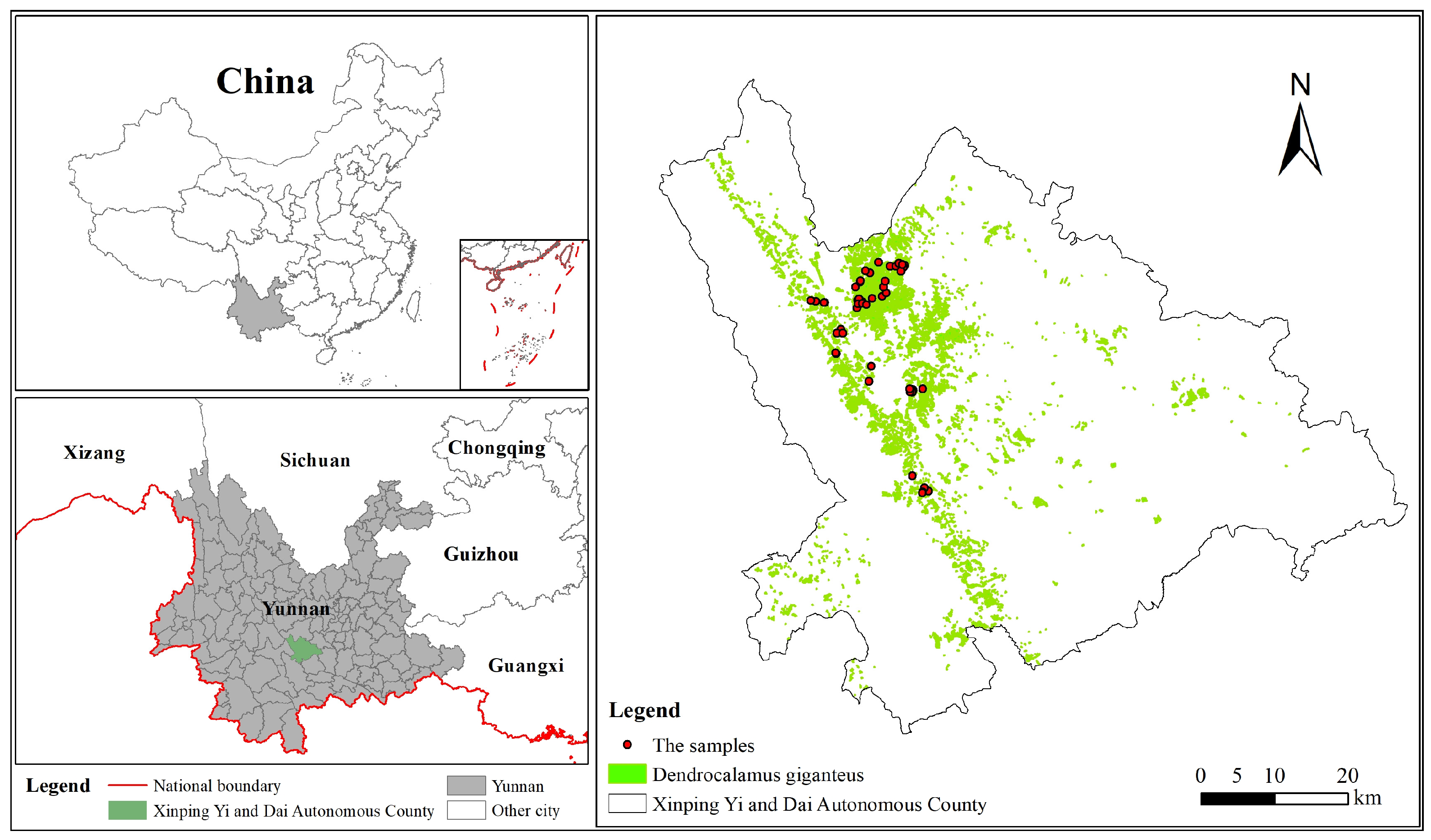 Forests 15 01257 g001