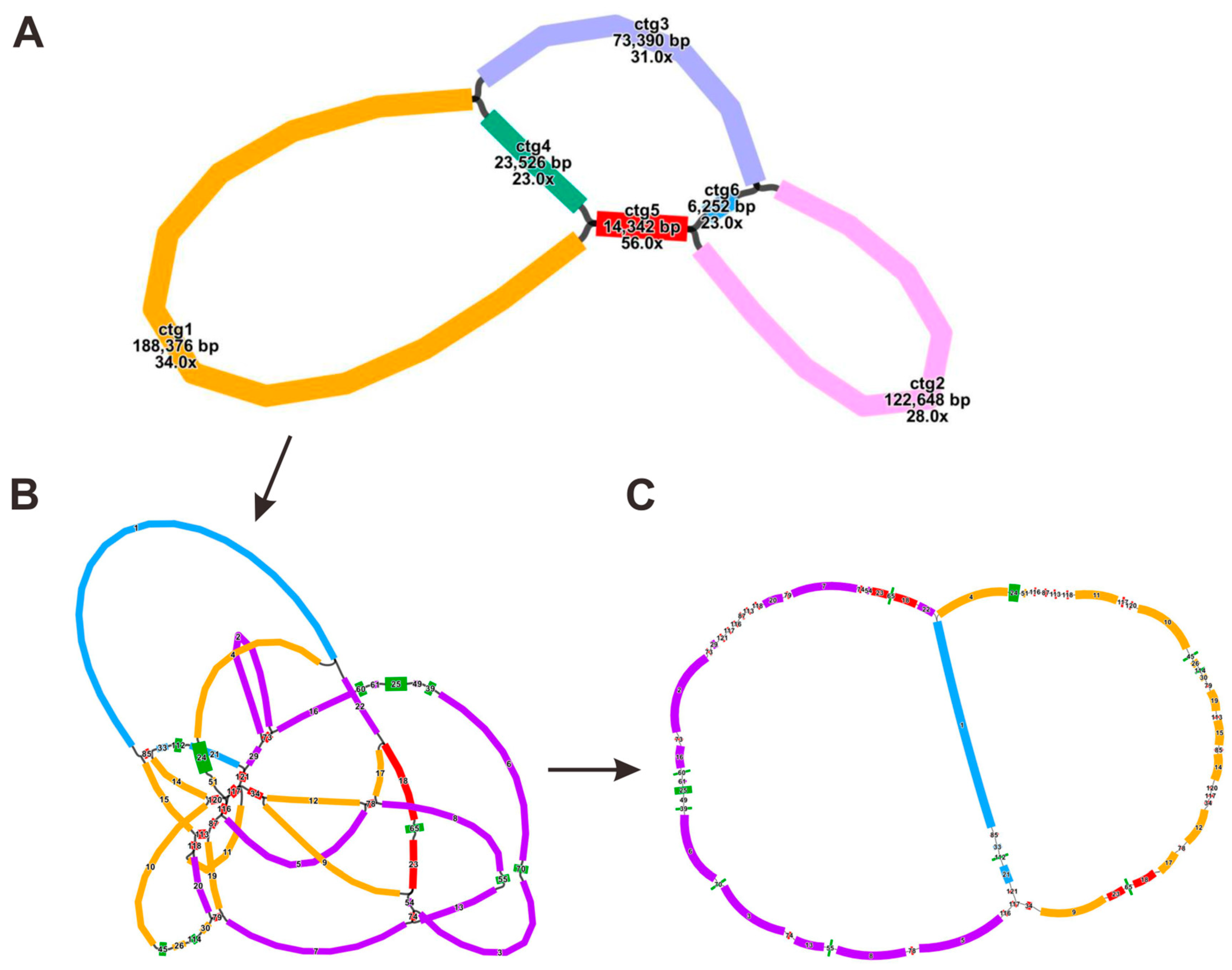 Forests 15 01267 g001