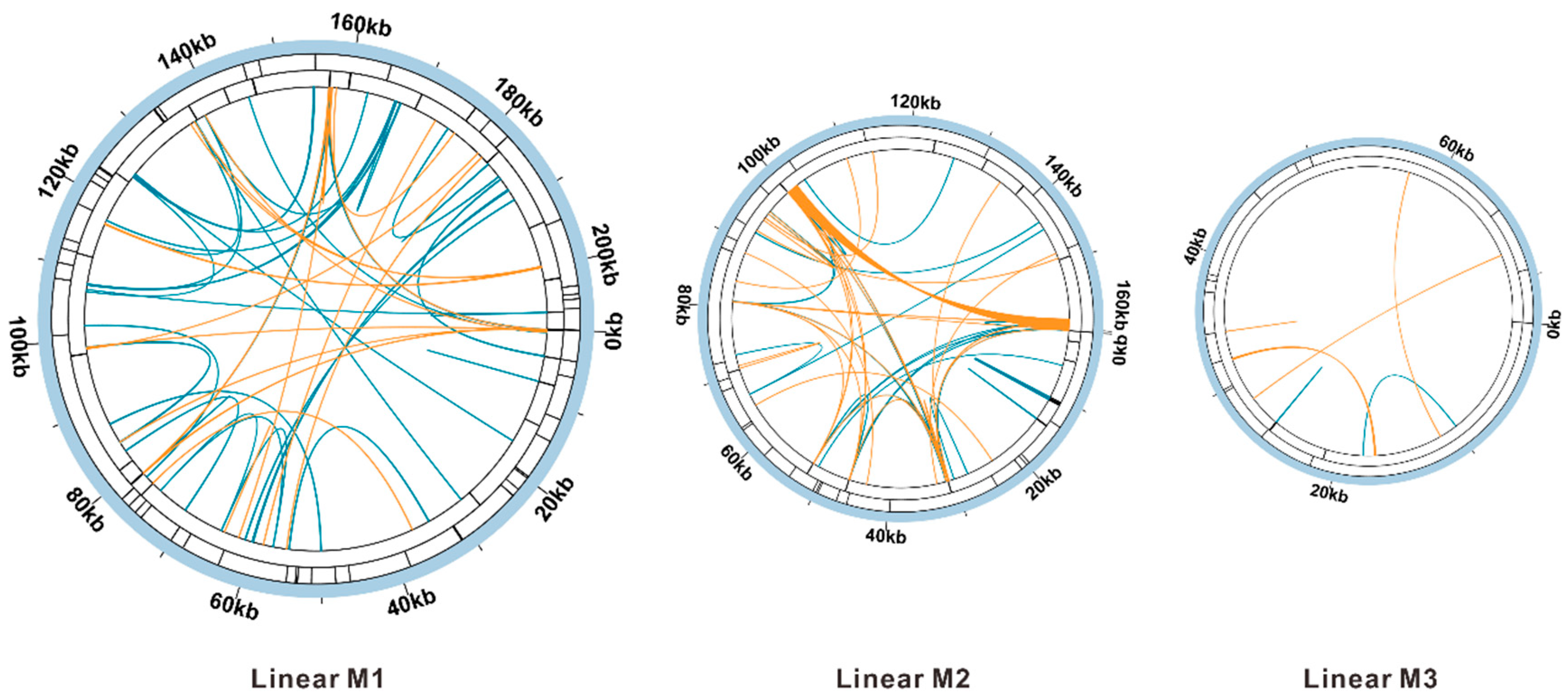 Forests 15 01267 g004