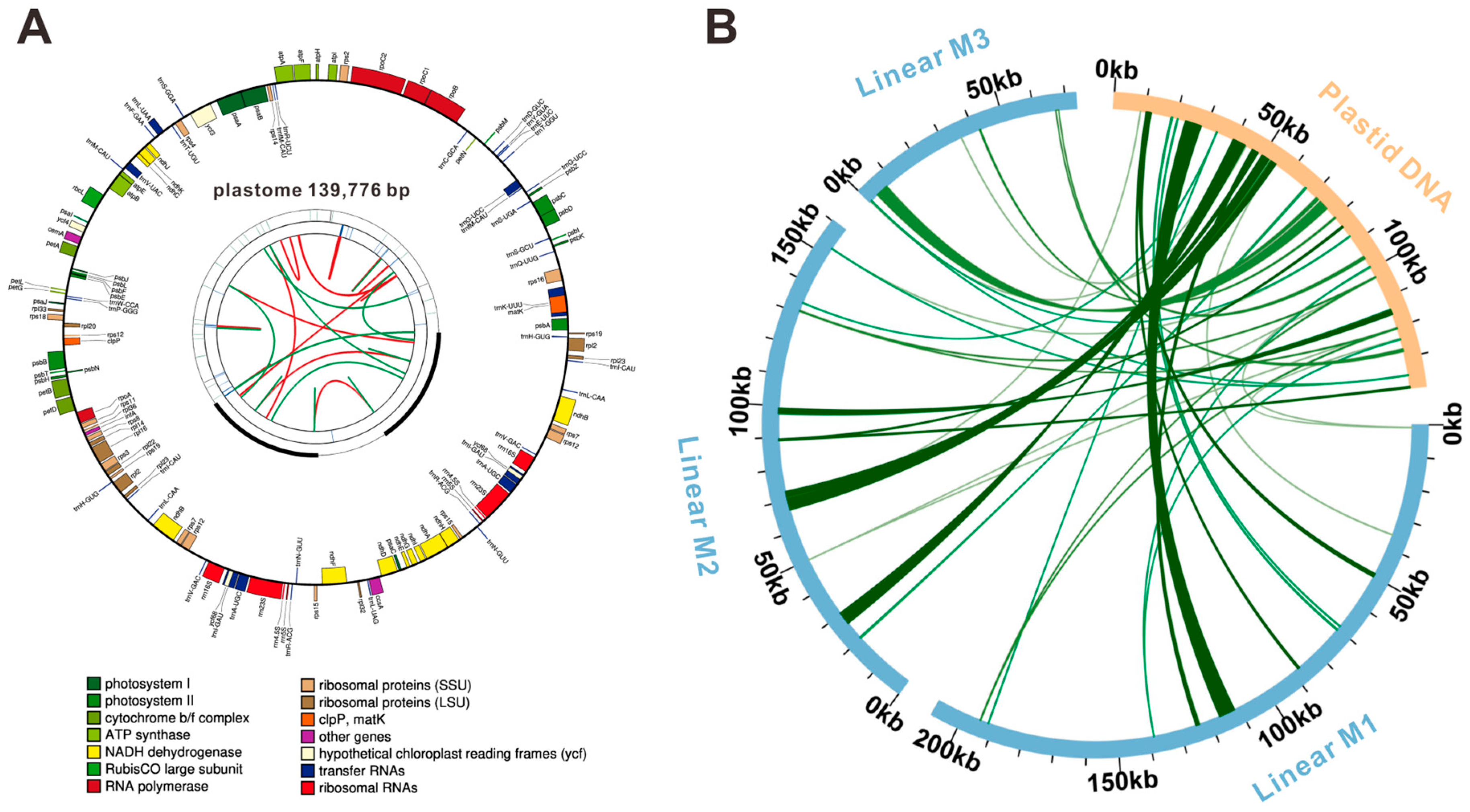 Forests 15 01267 g005