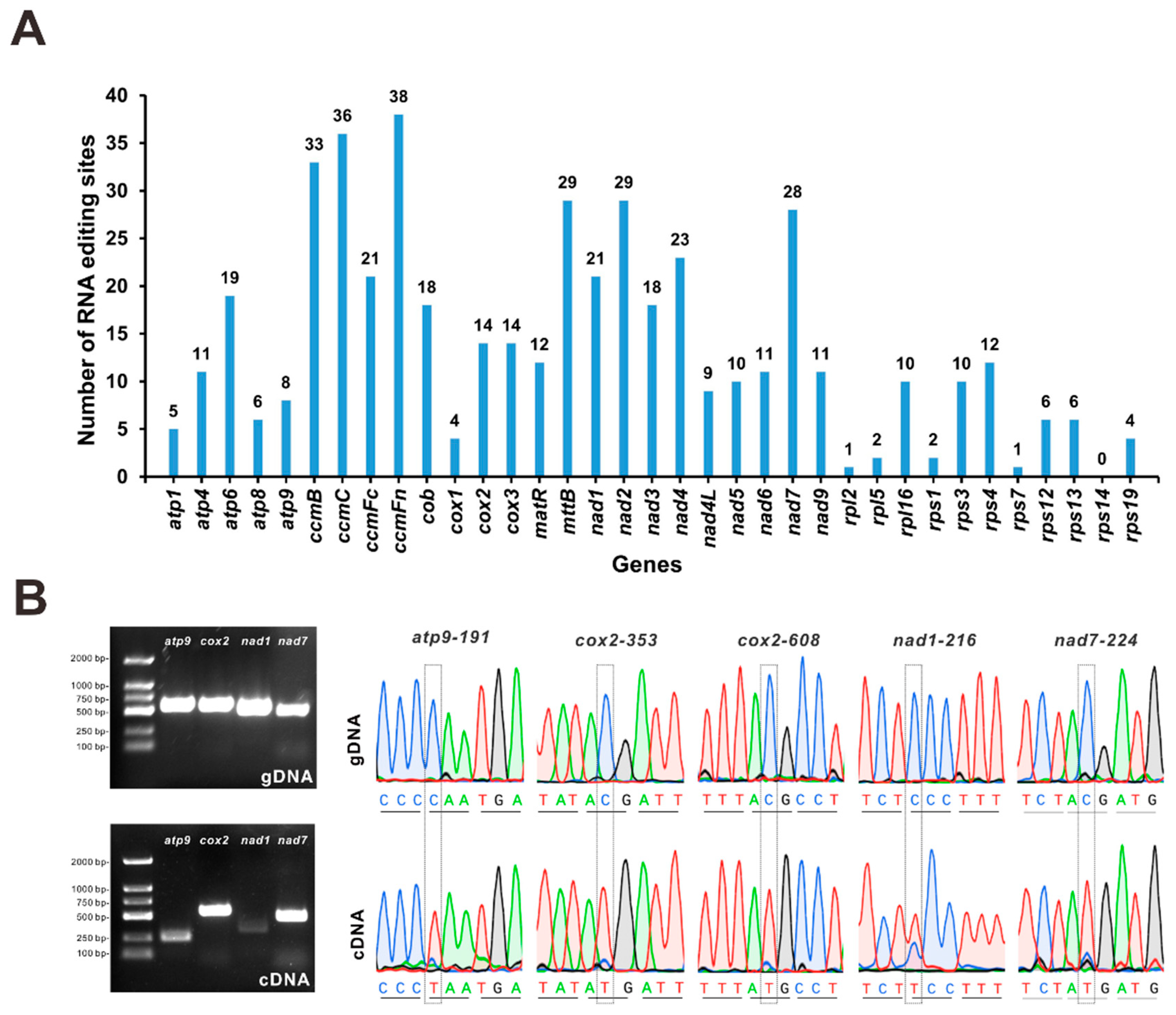 Forests 15 01267 g006