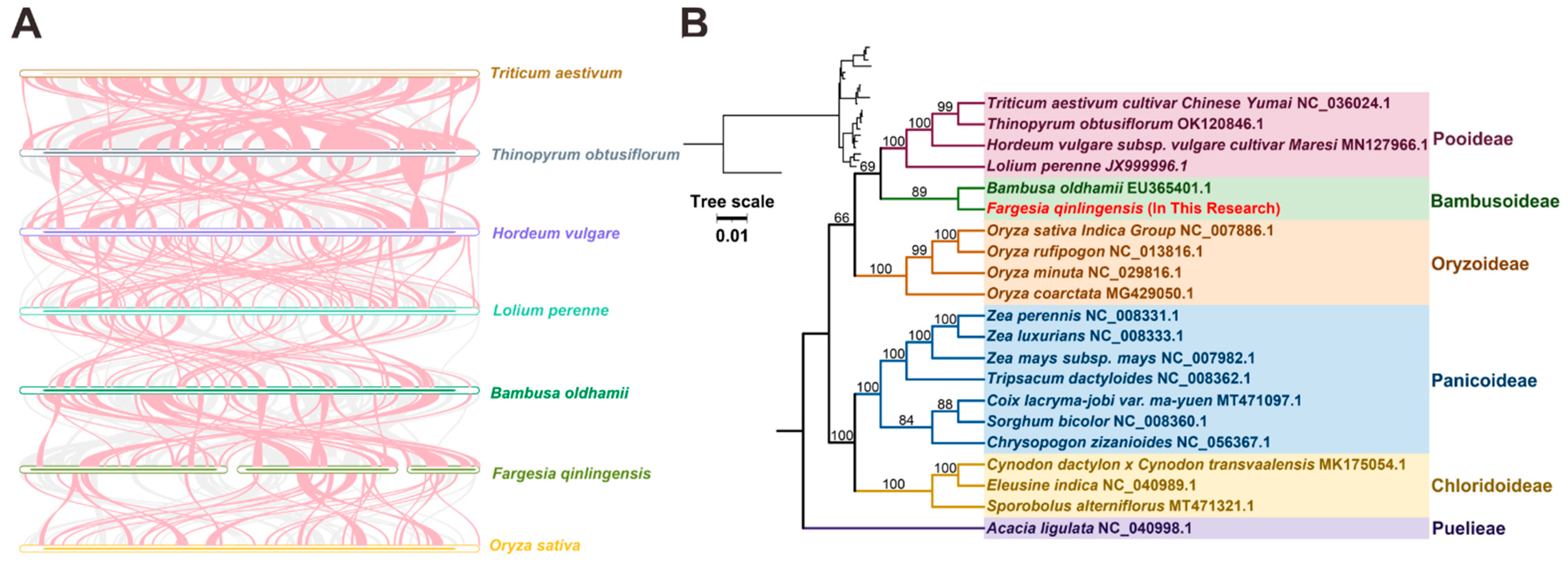 Forests 15 01267 g007