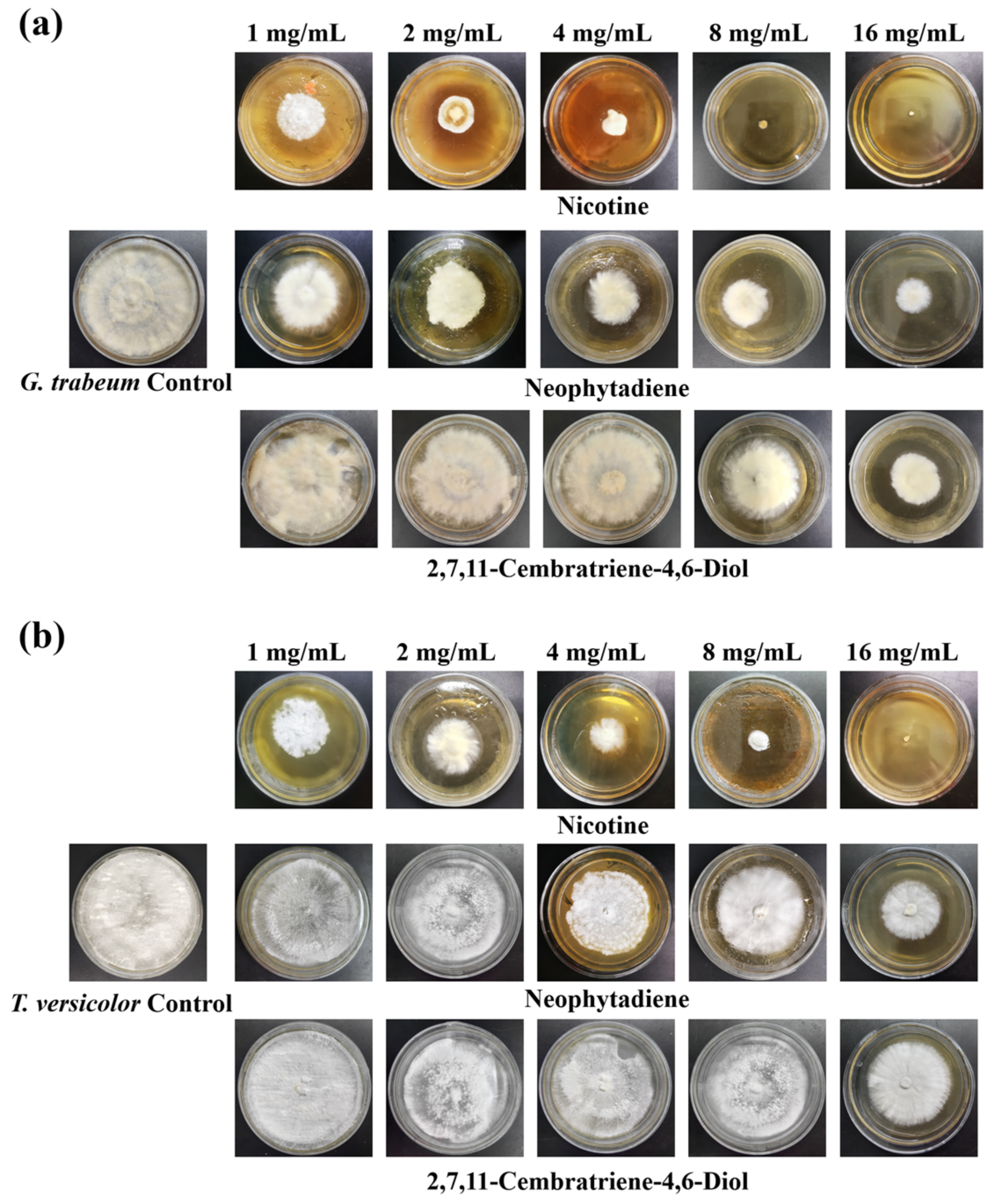 Forests 15 01274 g005