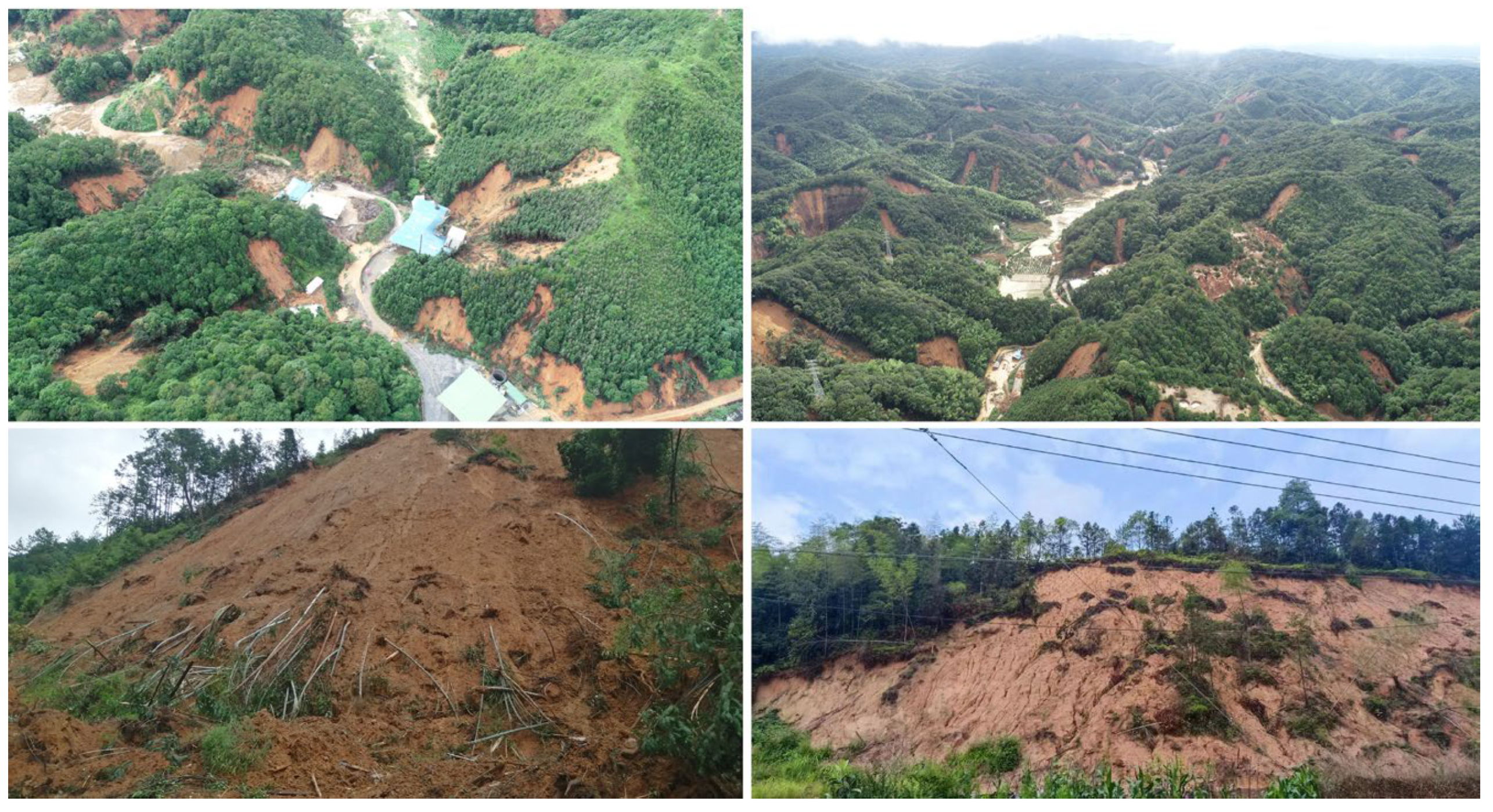 Forests 15 01285 g001