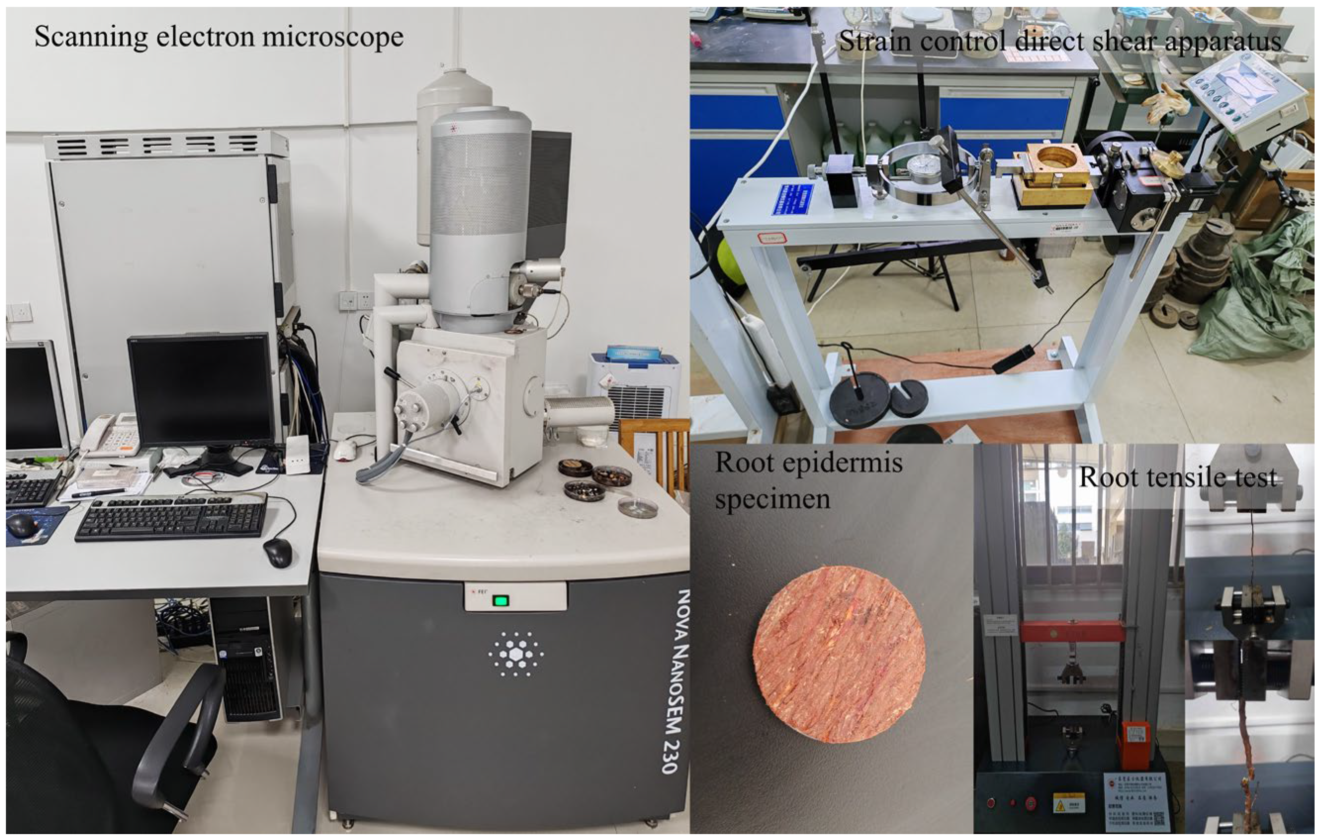 Forests 15 01285 g004