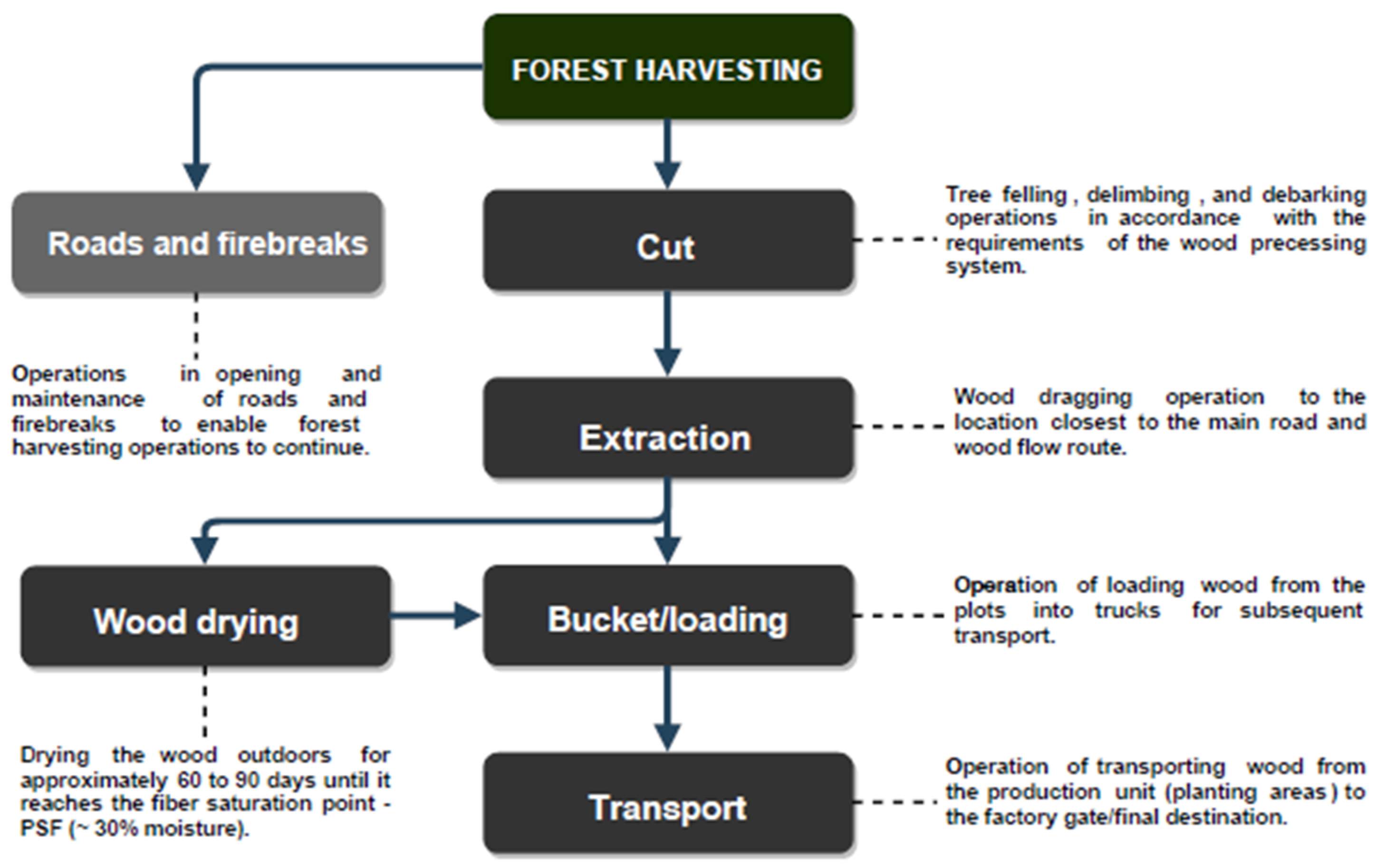 Forests 15 01291 g001