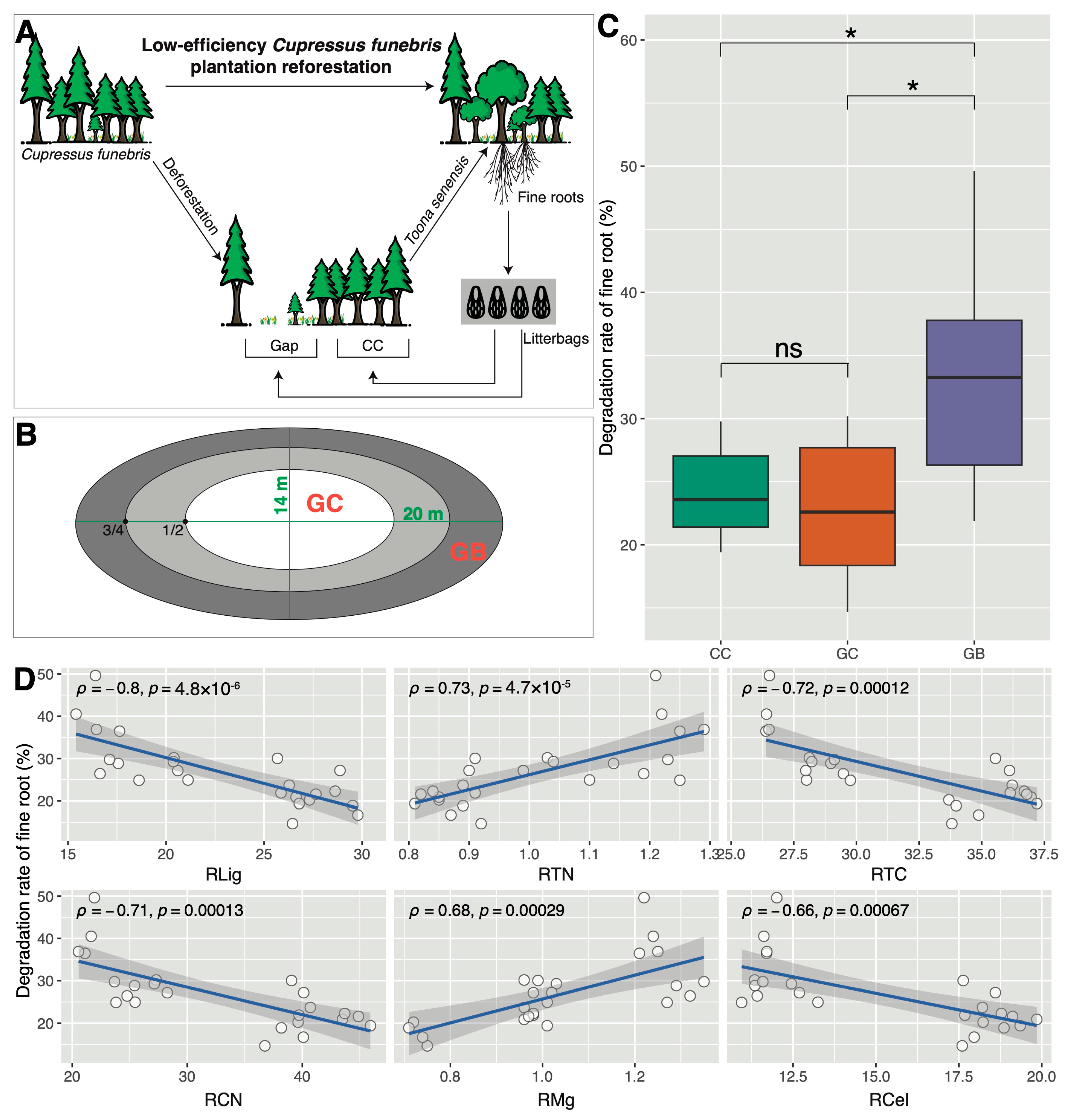 Forests 15 01293 g001