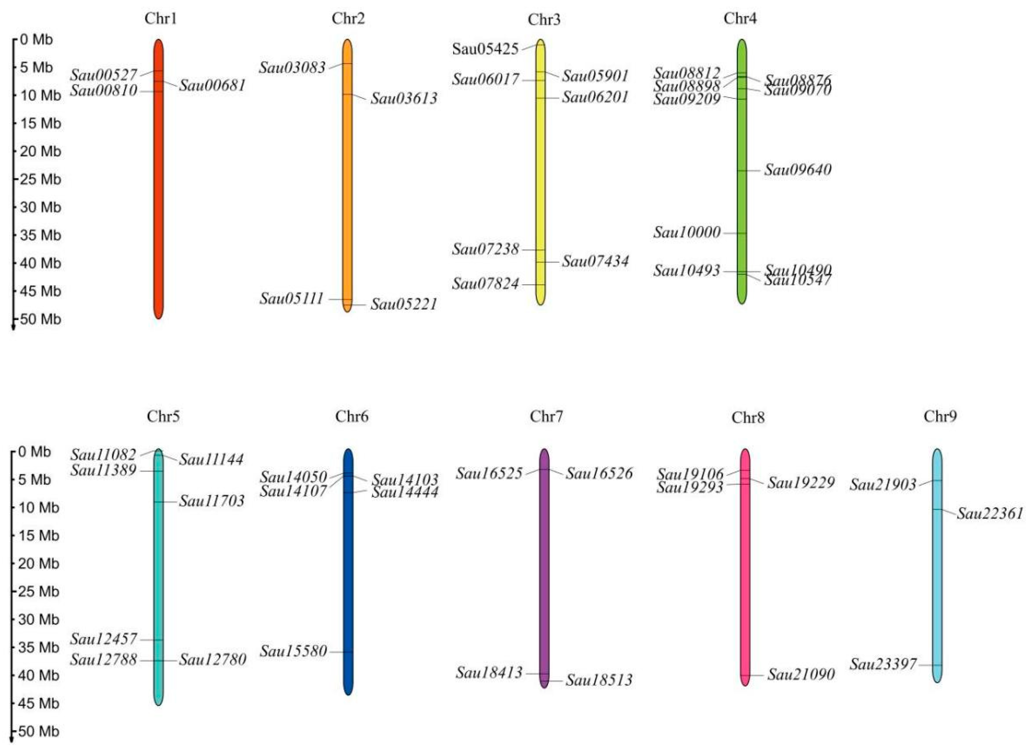 Forests 15 01297 g001