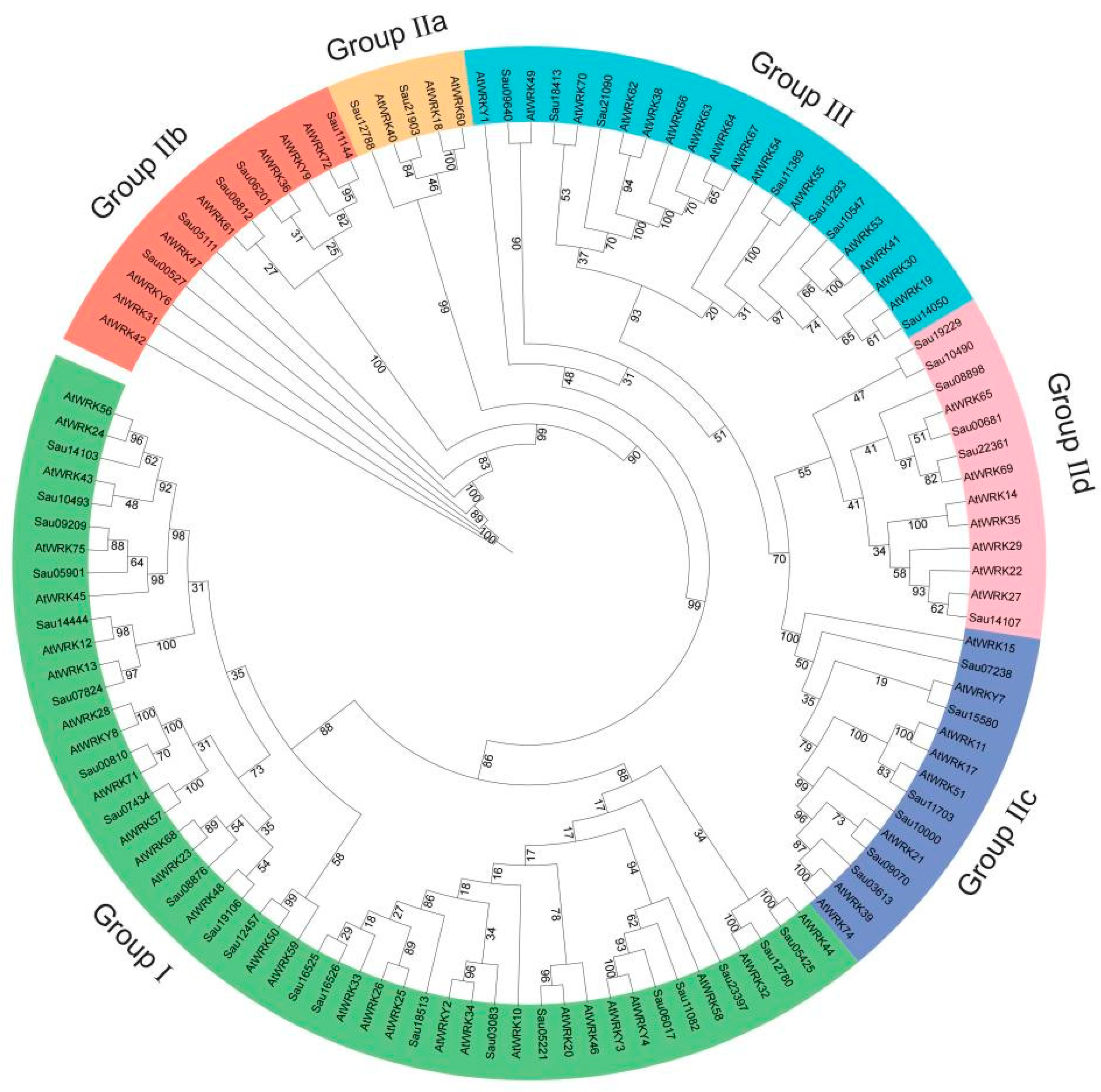 Forests 15 01297 g003