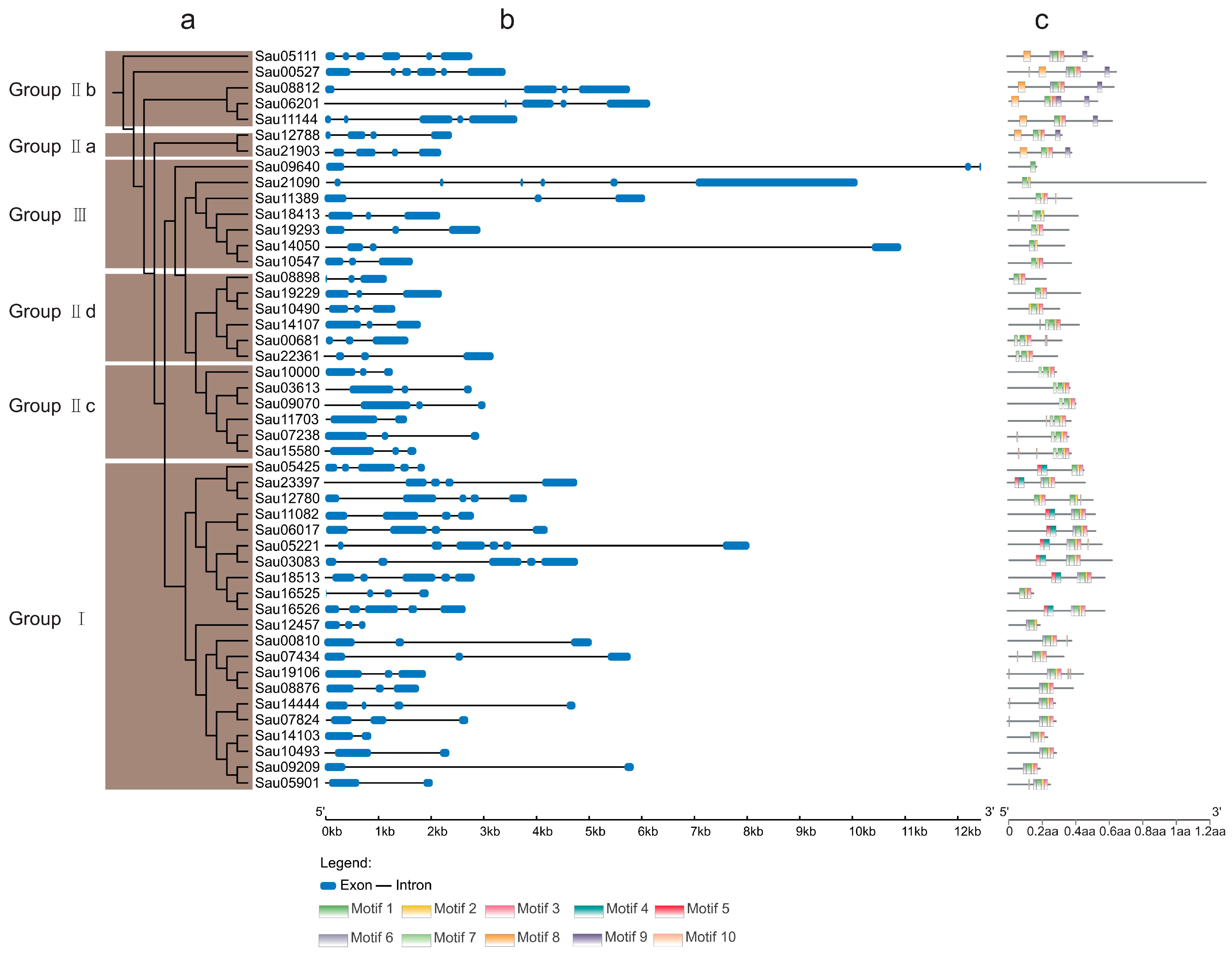 Forests 15 01297 g004