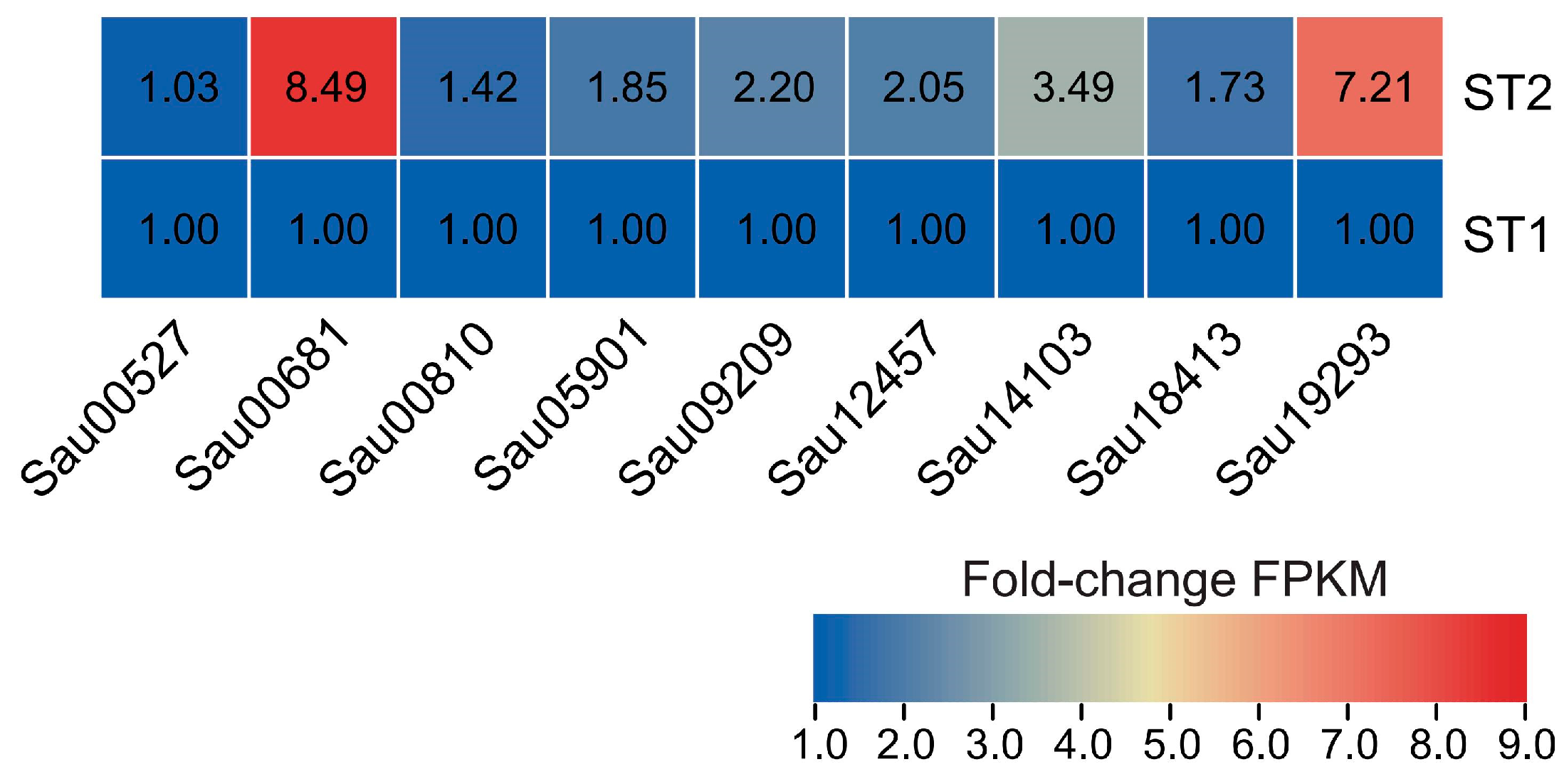 Forests 15 01297 g006