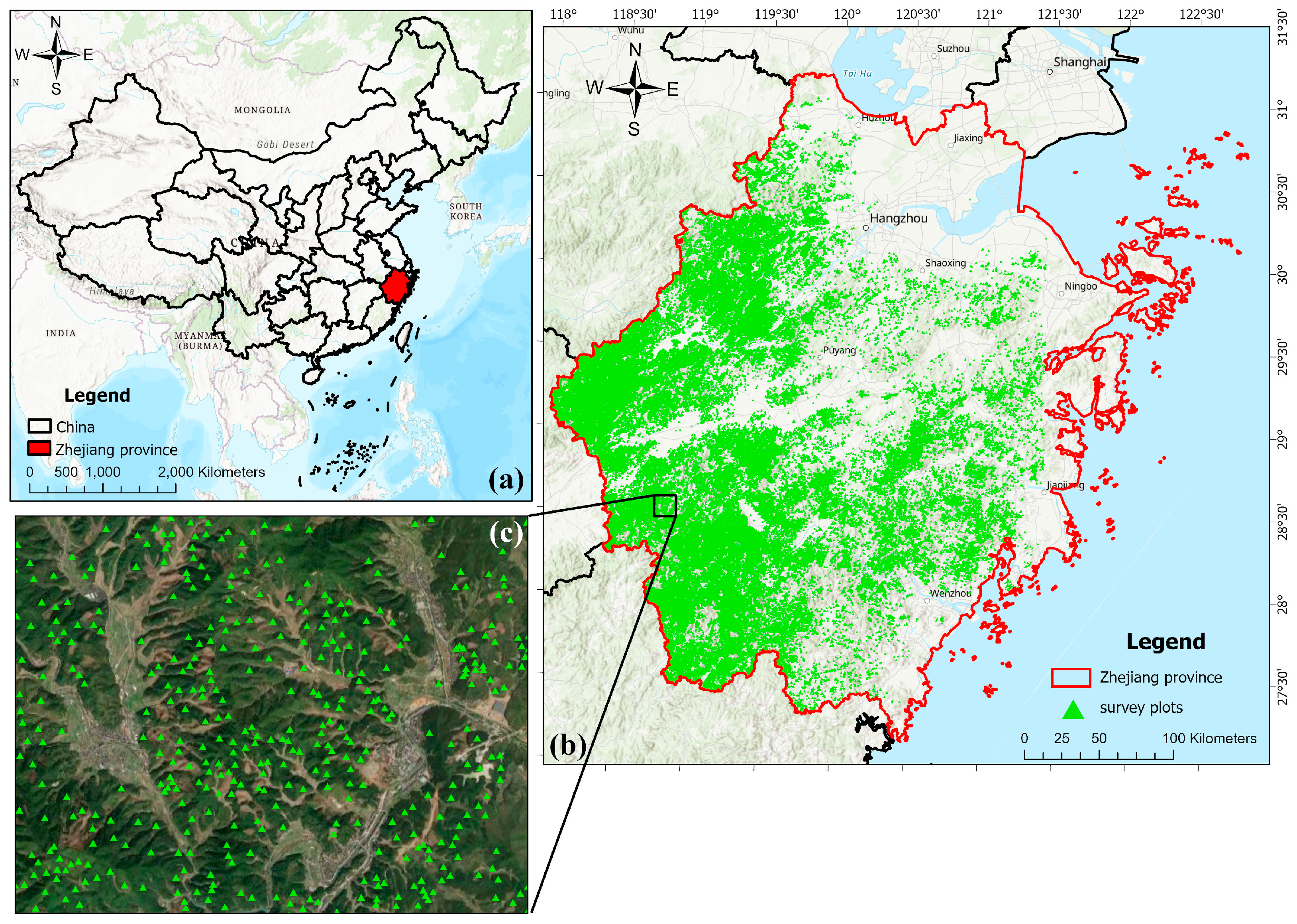 Forests 15 01315 g001