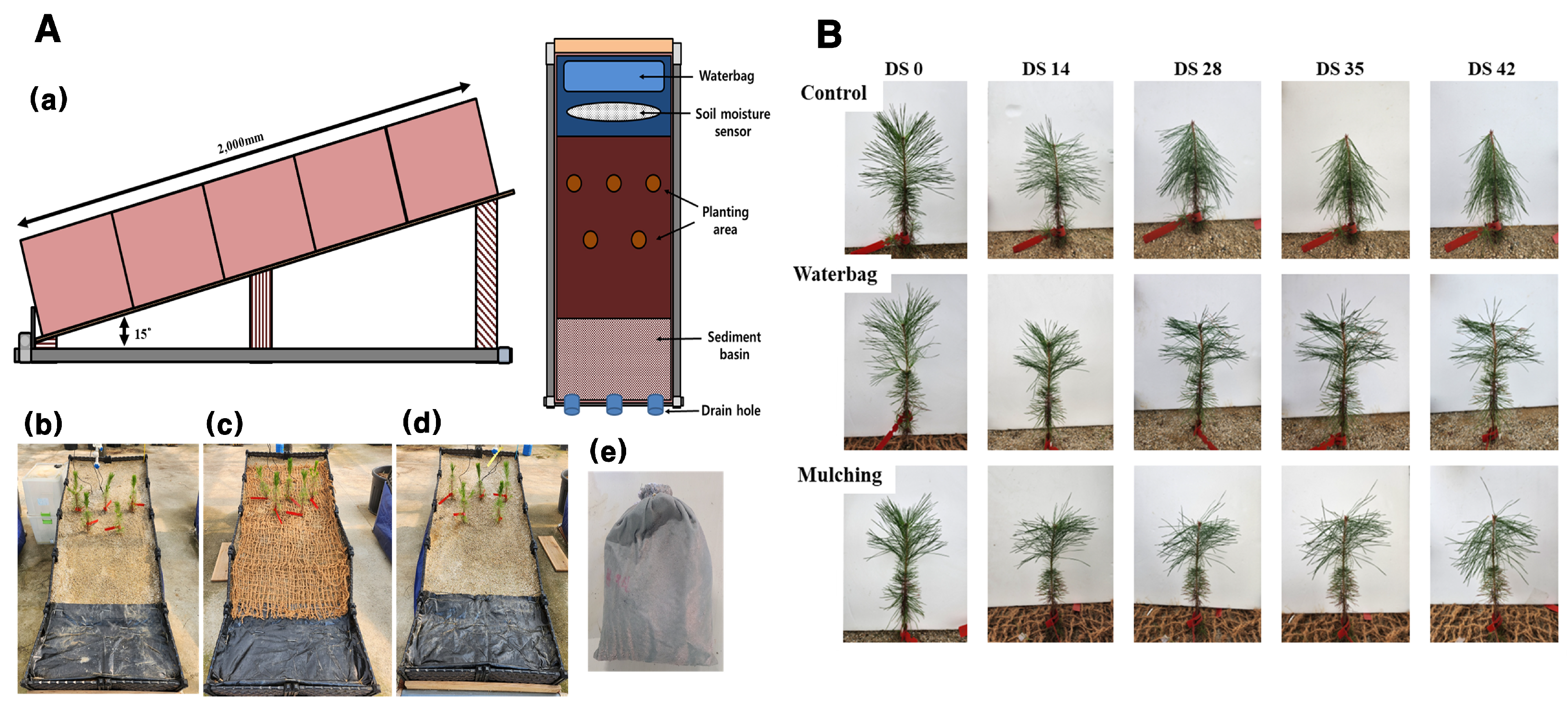 Forests 15 01323 g001