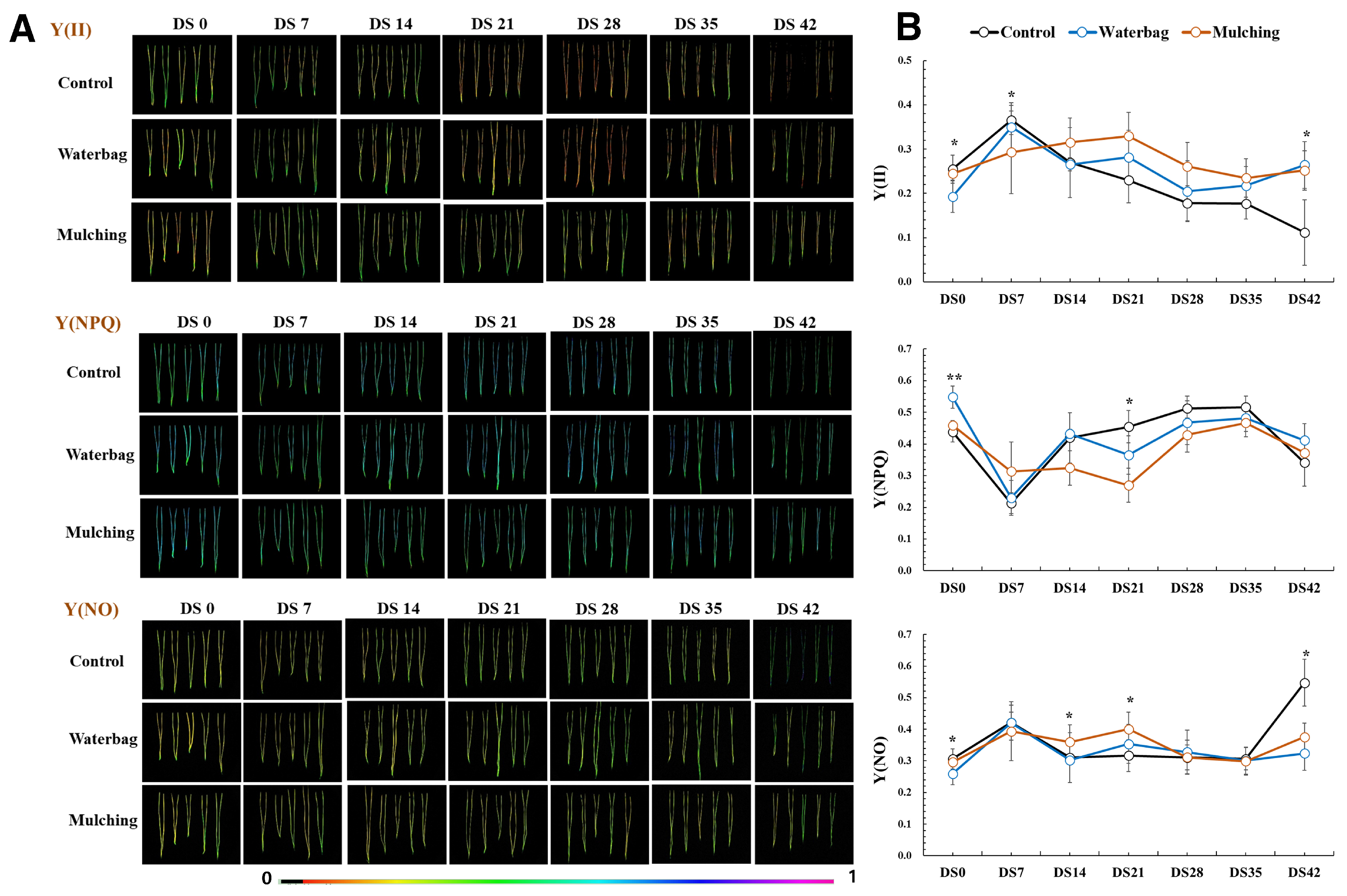 Forests 15 01323 g006