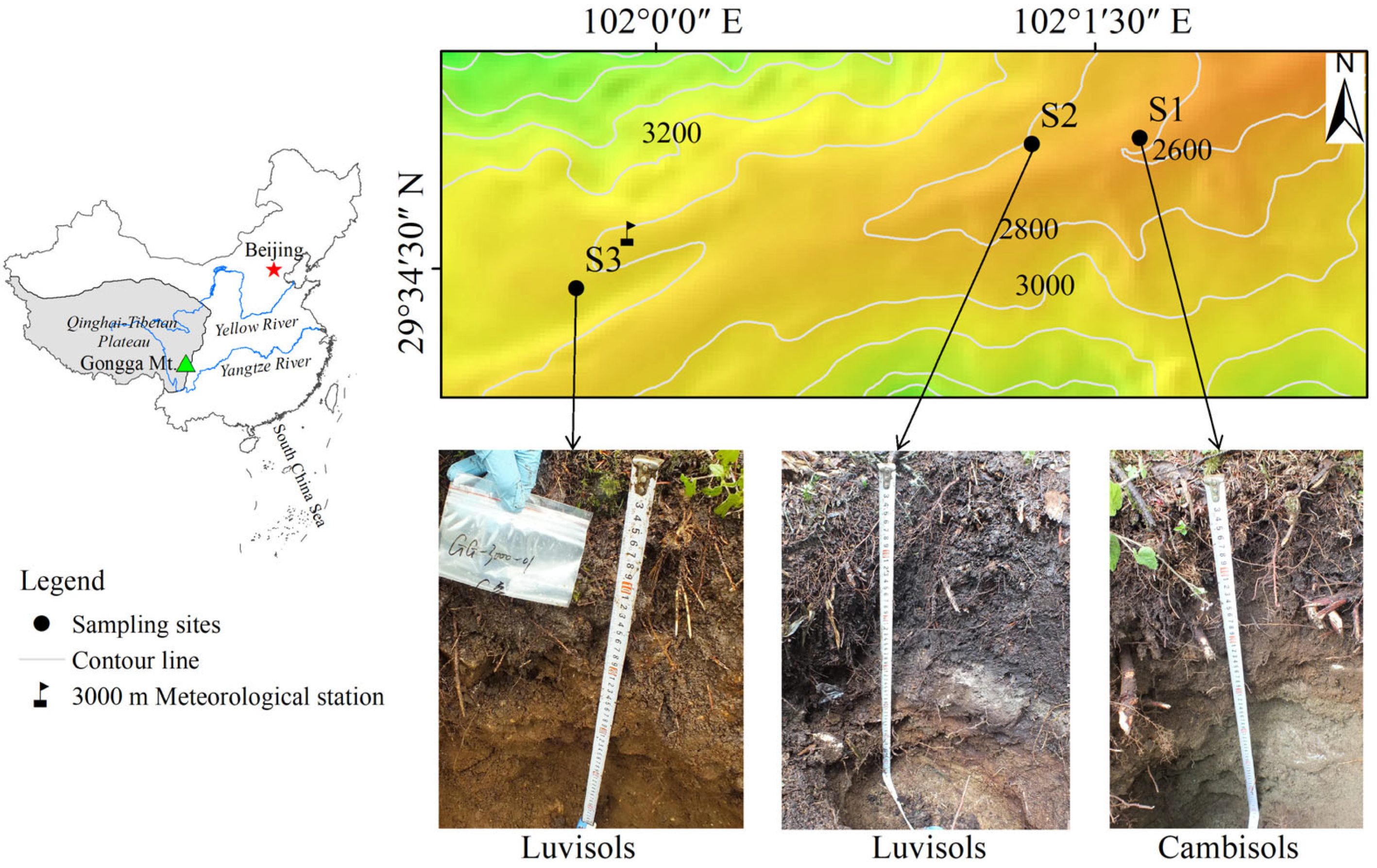Forests 15 01326 g001