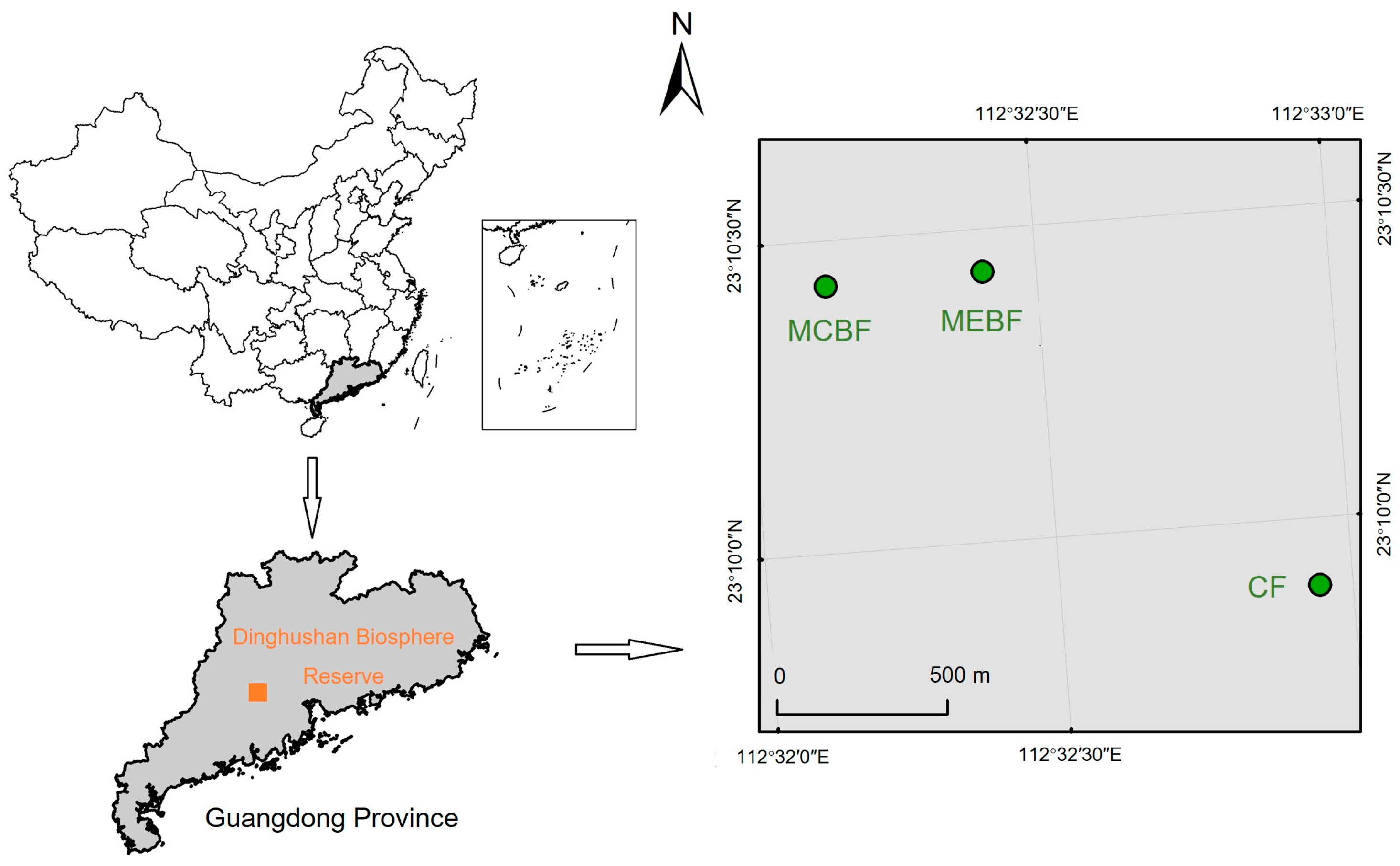 Forests 15 01329 g001