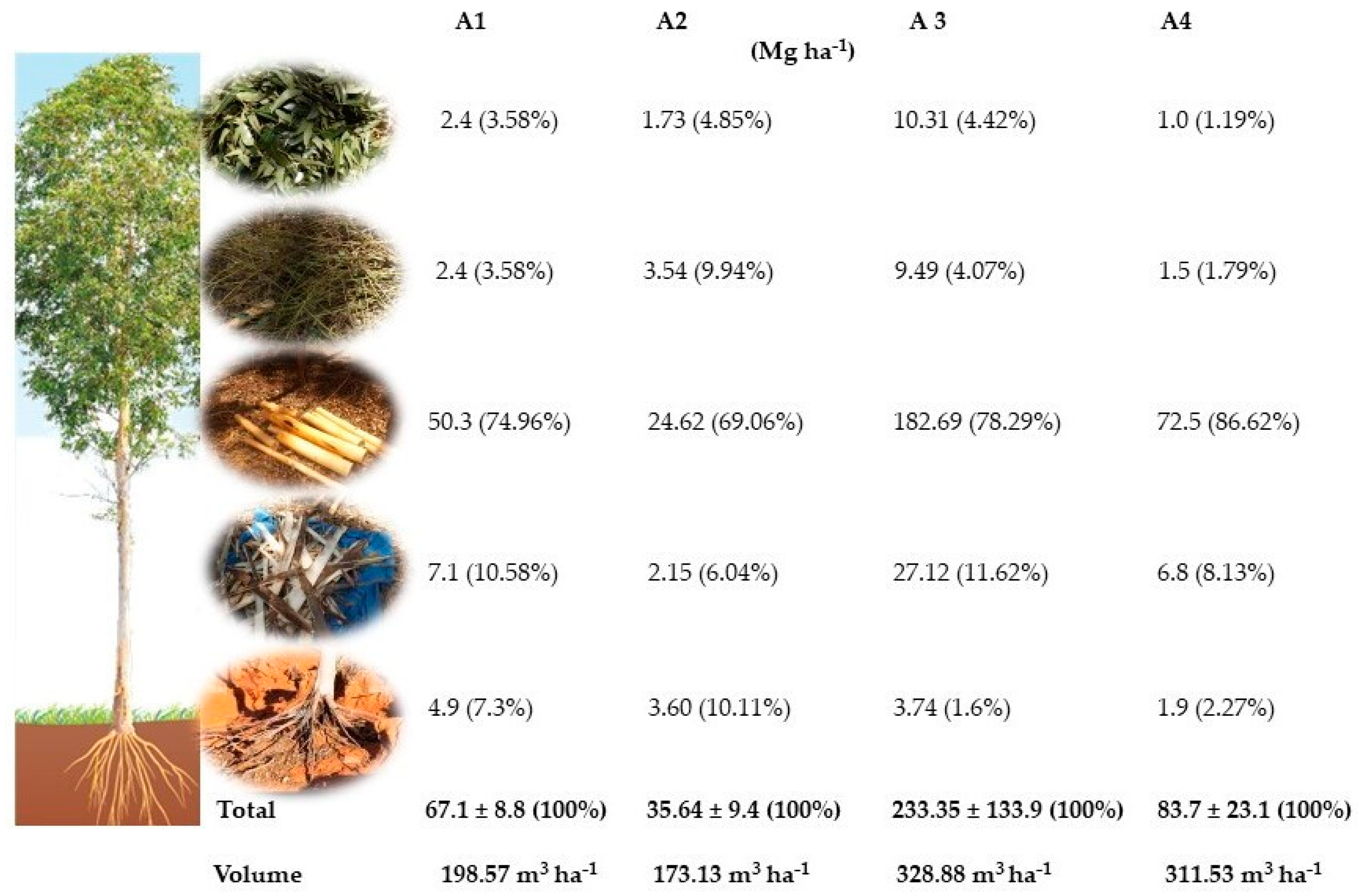 Forests 15 01332 g002