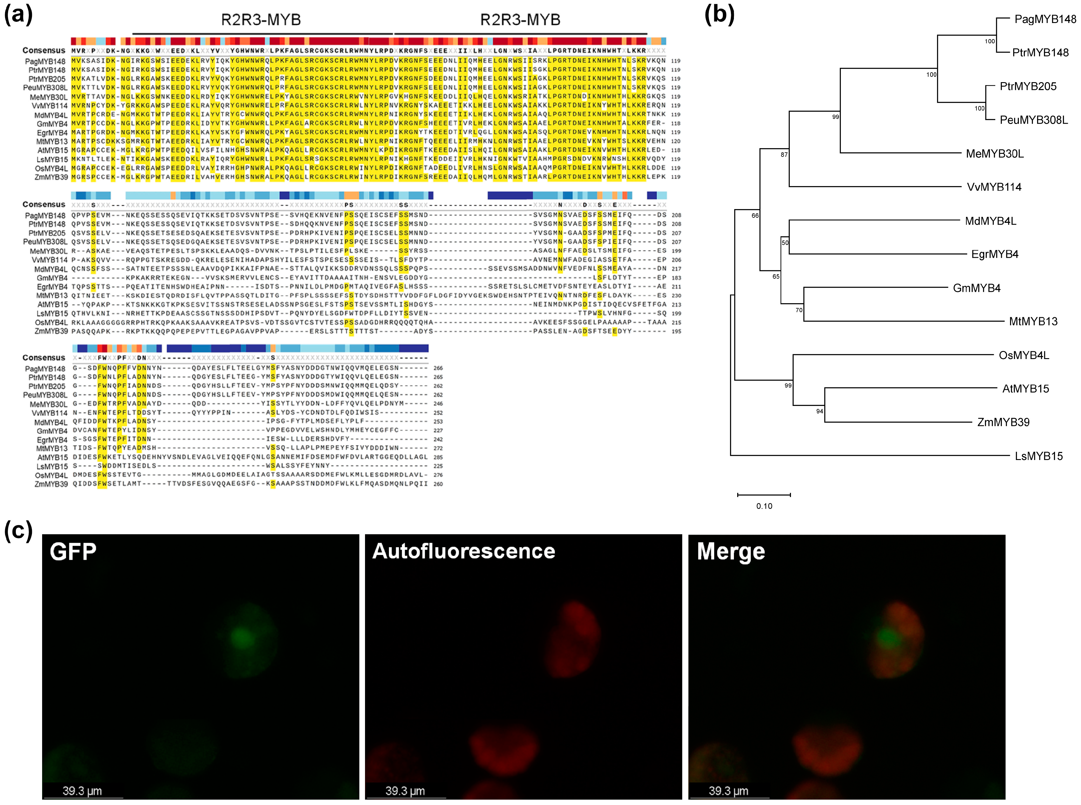 Forests 15 01344 g001