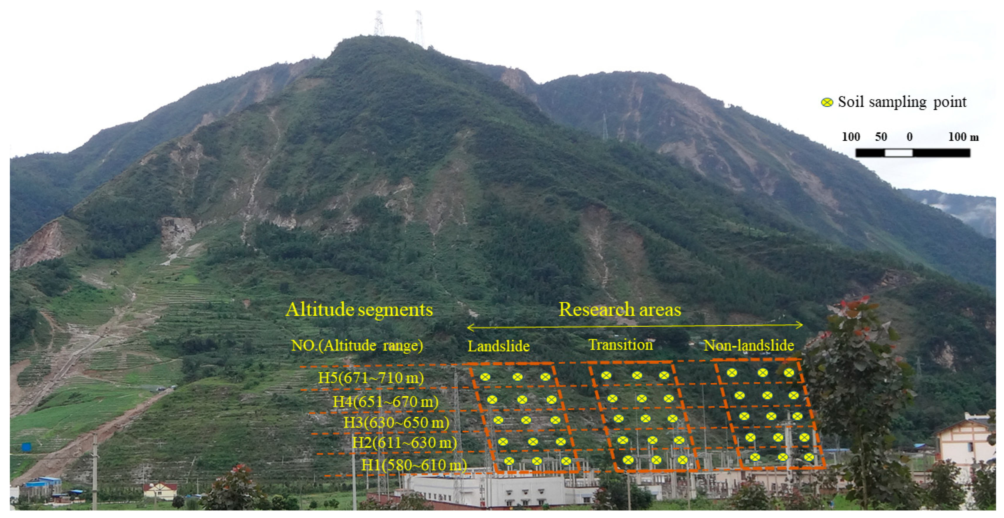 Forests 15 01352 g001