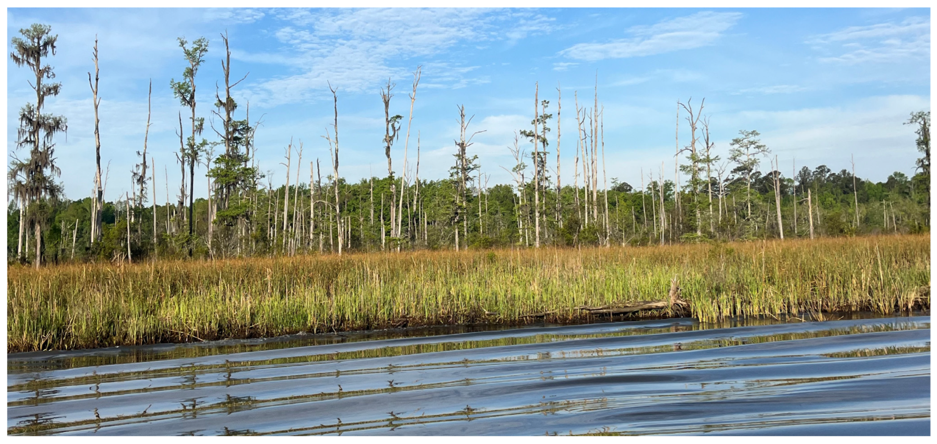 Forests 15 01359 g007