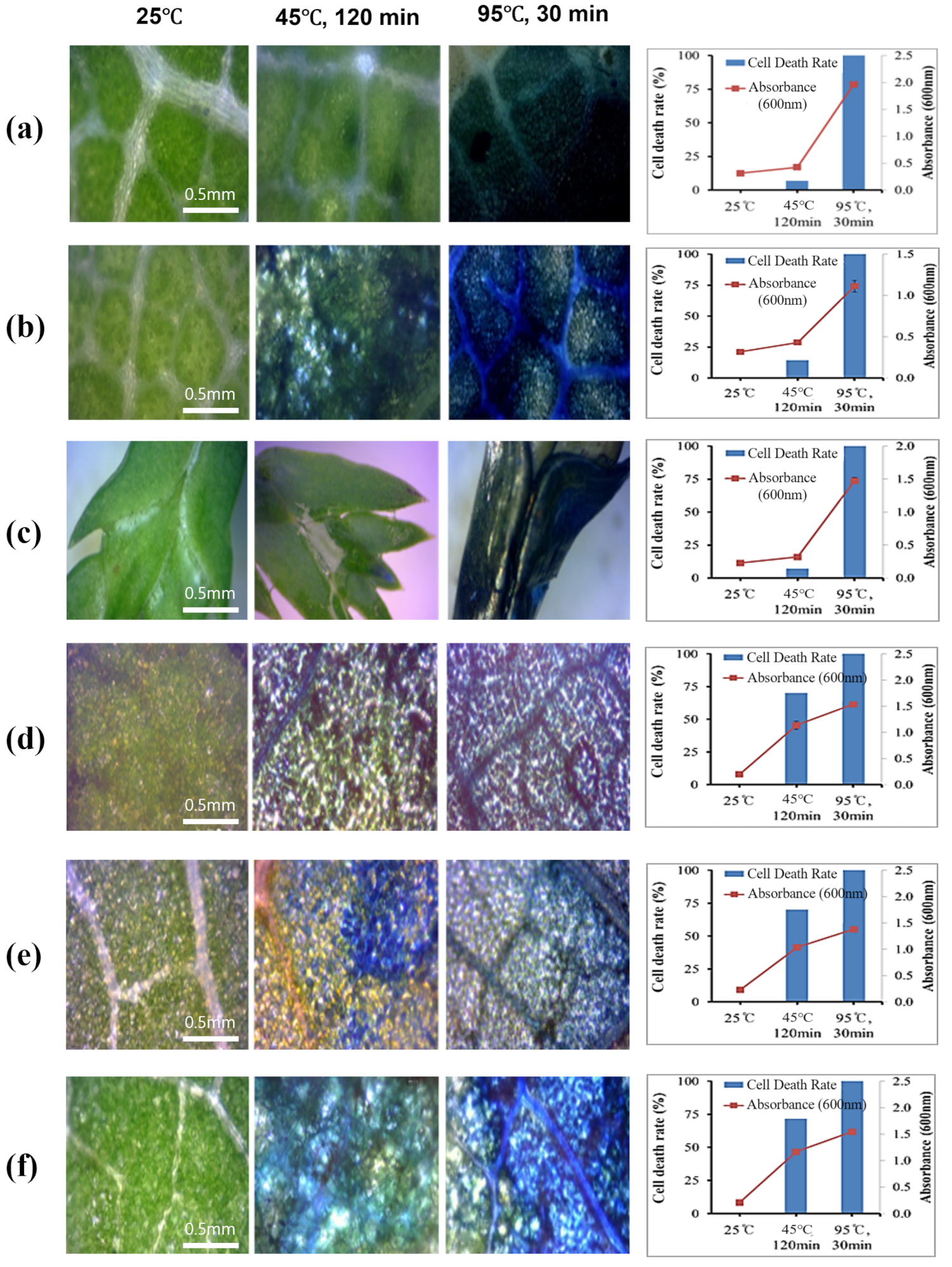 Forests 15 01366 g002