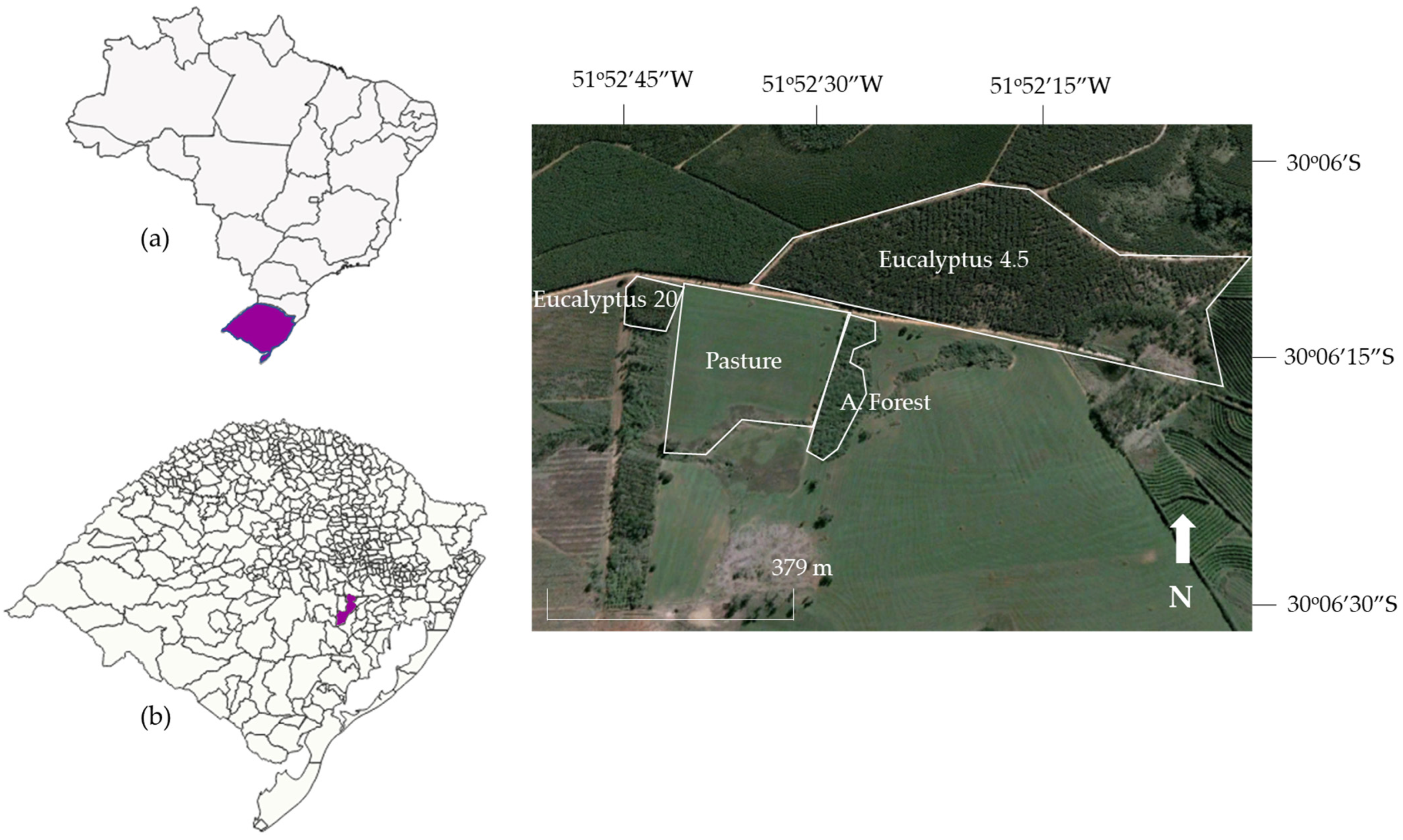 Forests 15 01369 g001 Forests 15 01369 g001