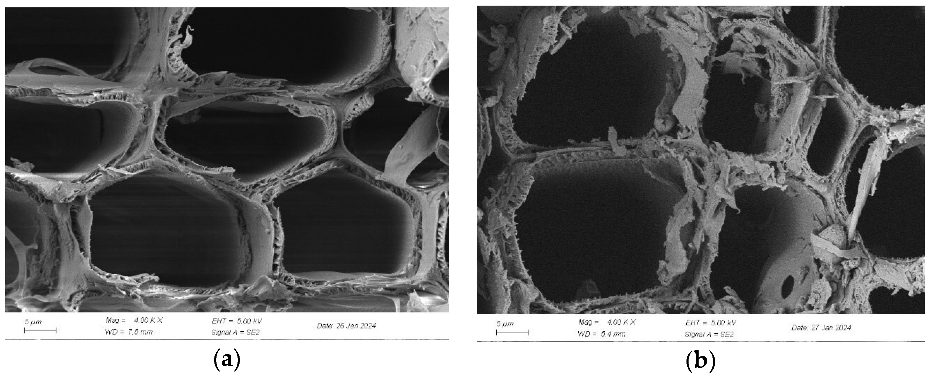 Forests 15 01370 g006