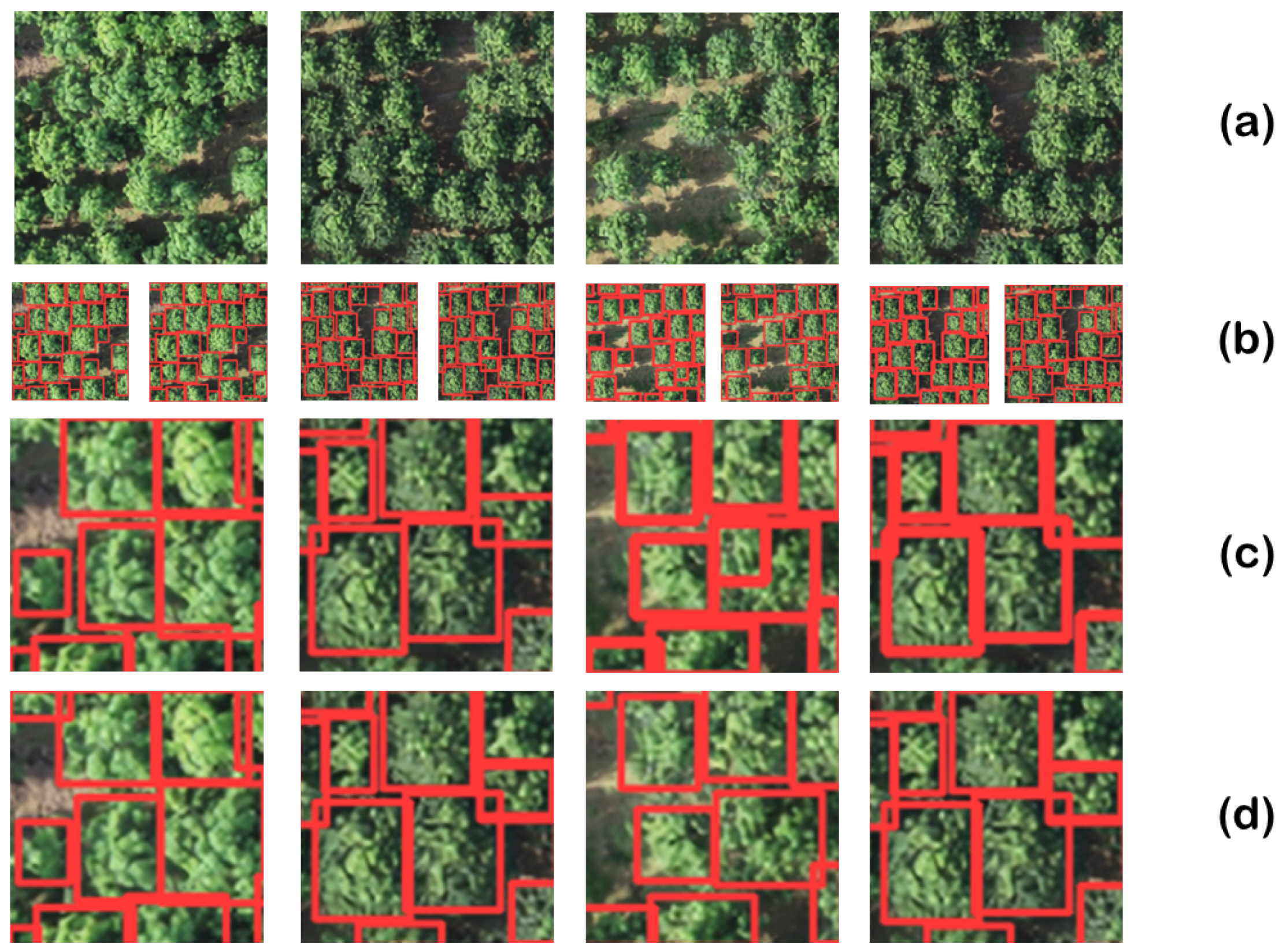 Forests 15 01375 g010