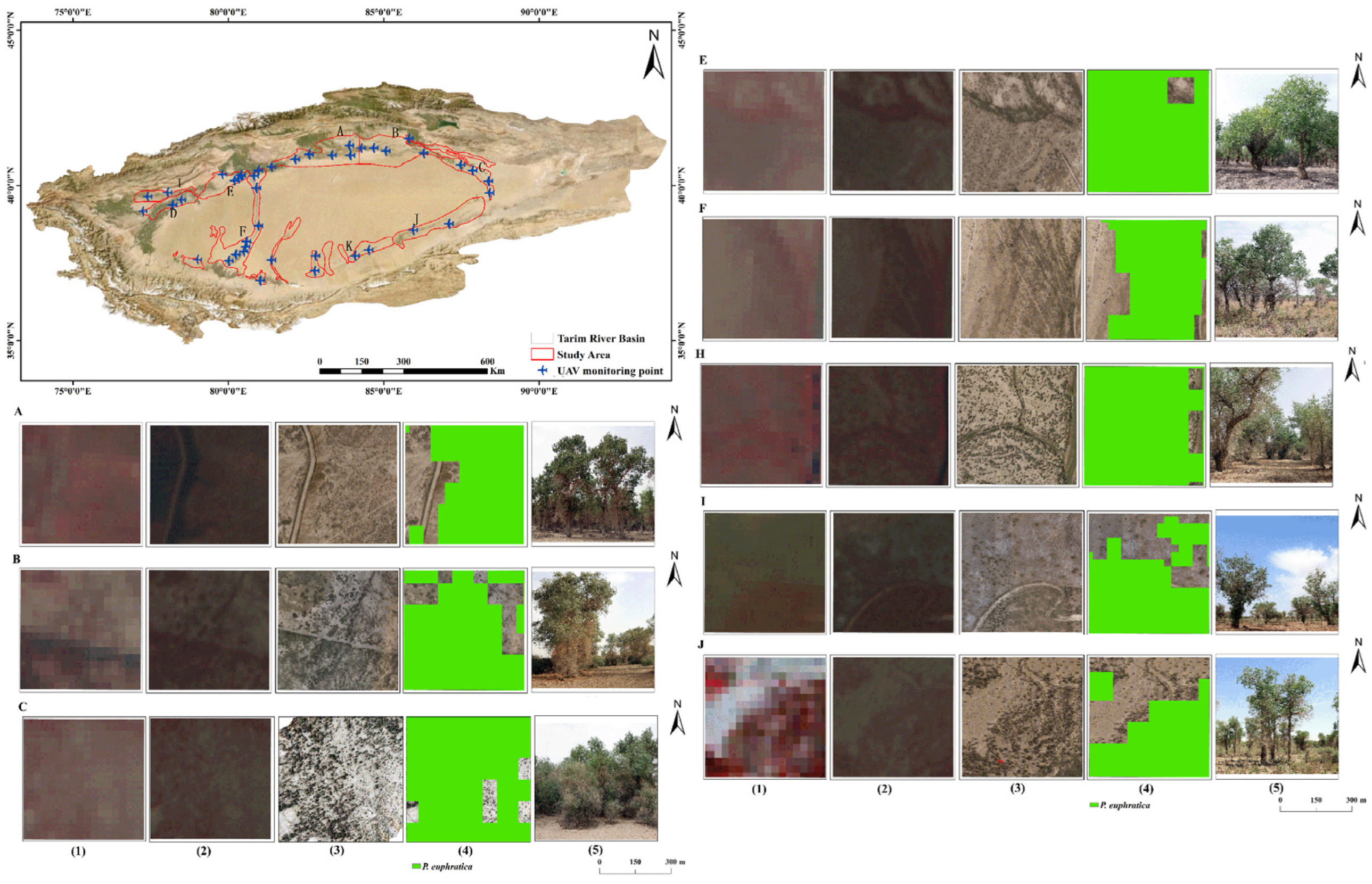Forests 15 01384 g004