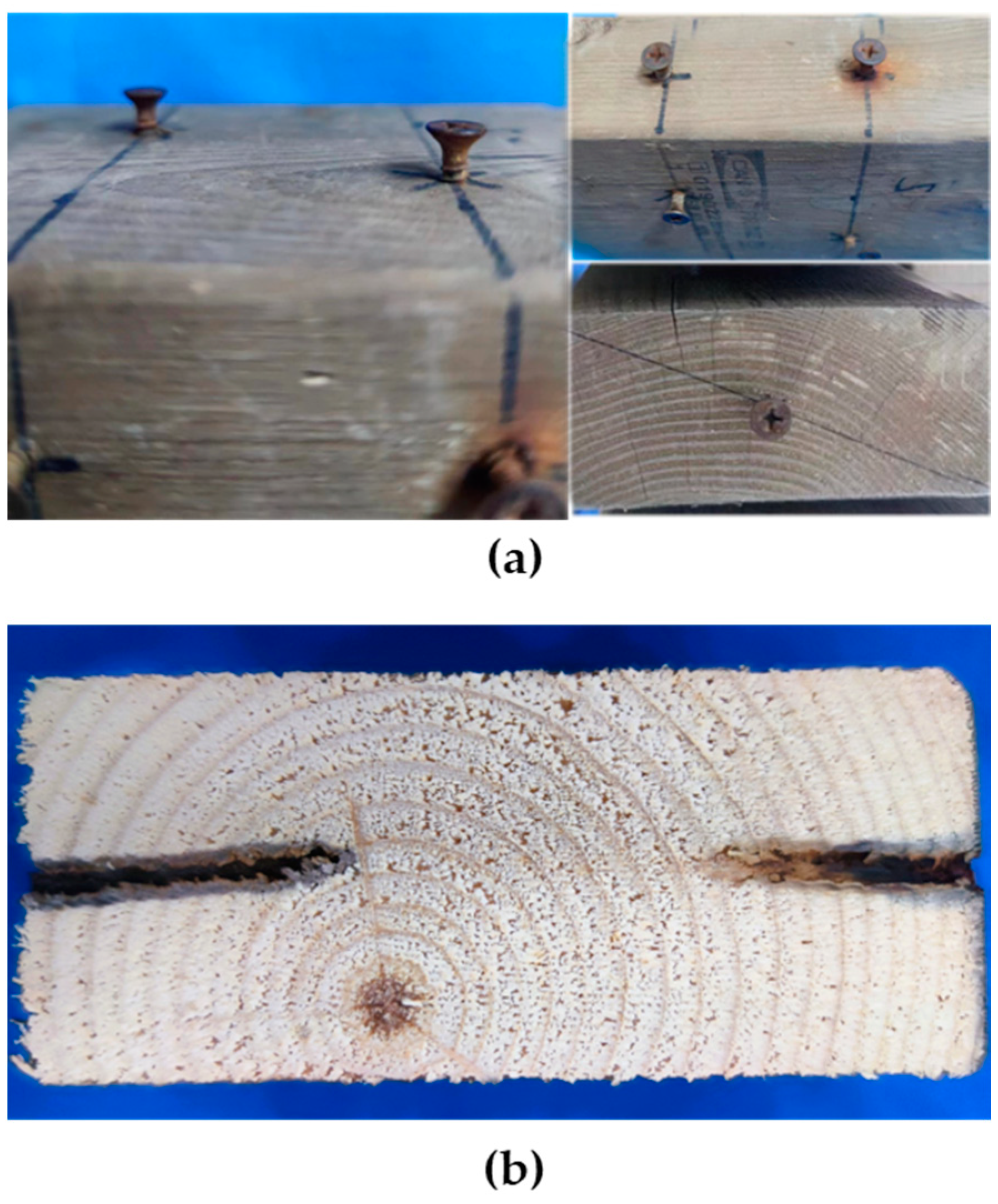 Forests 15 01387 g006