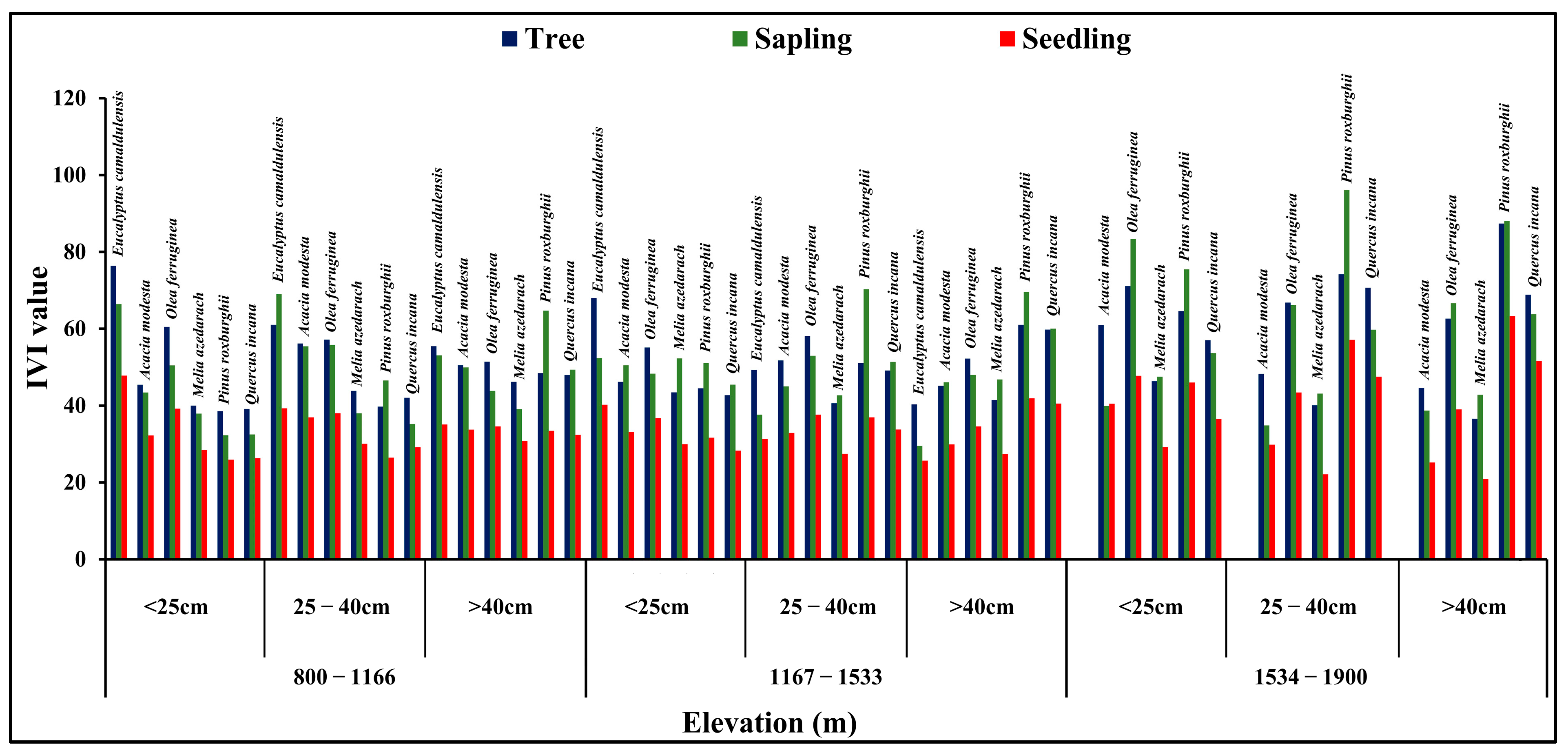 Forests 15 01395 g004