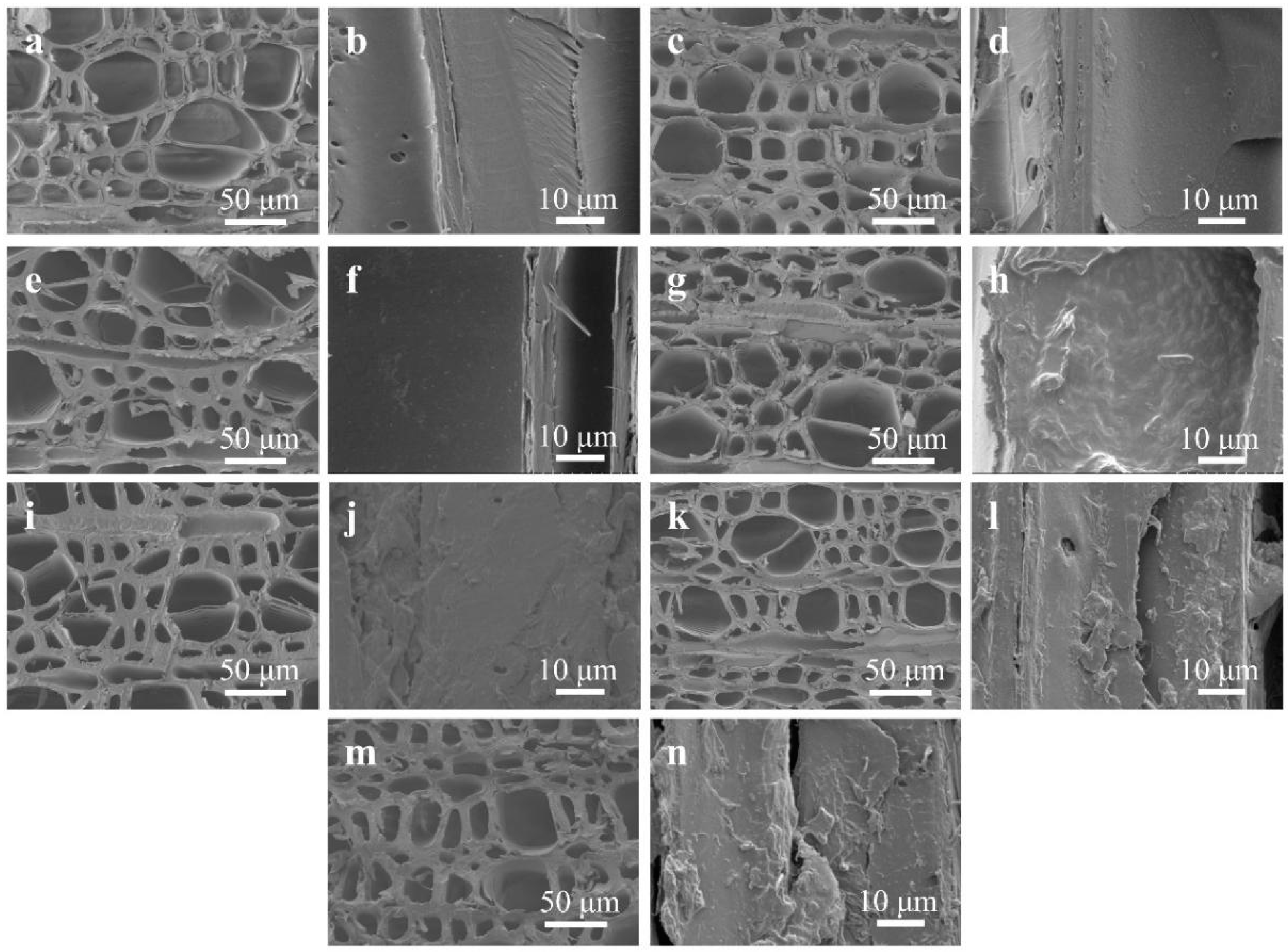 Forests 15 01401 g012