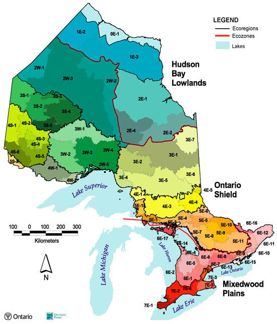 Forests | Free Full-Text | Simulating the Long-Term Response of Forest ...