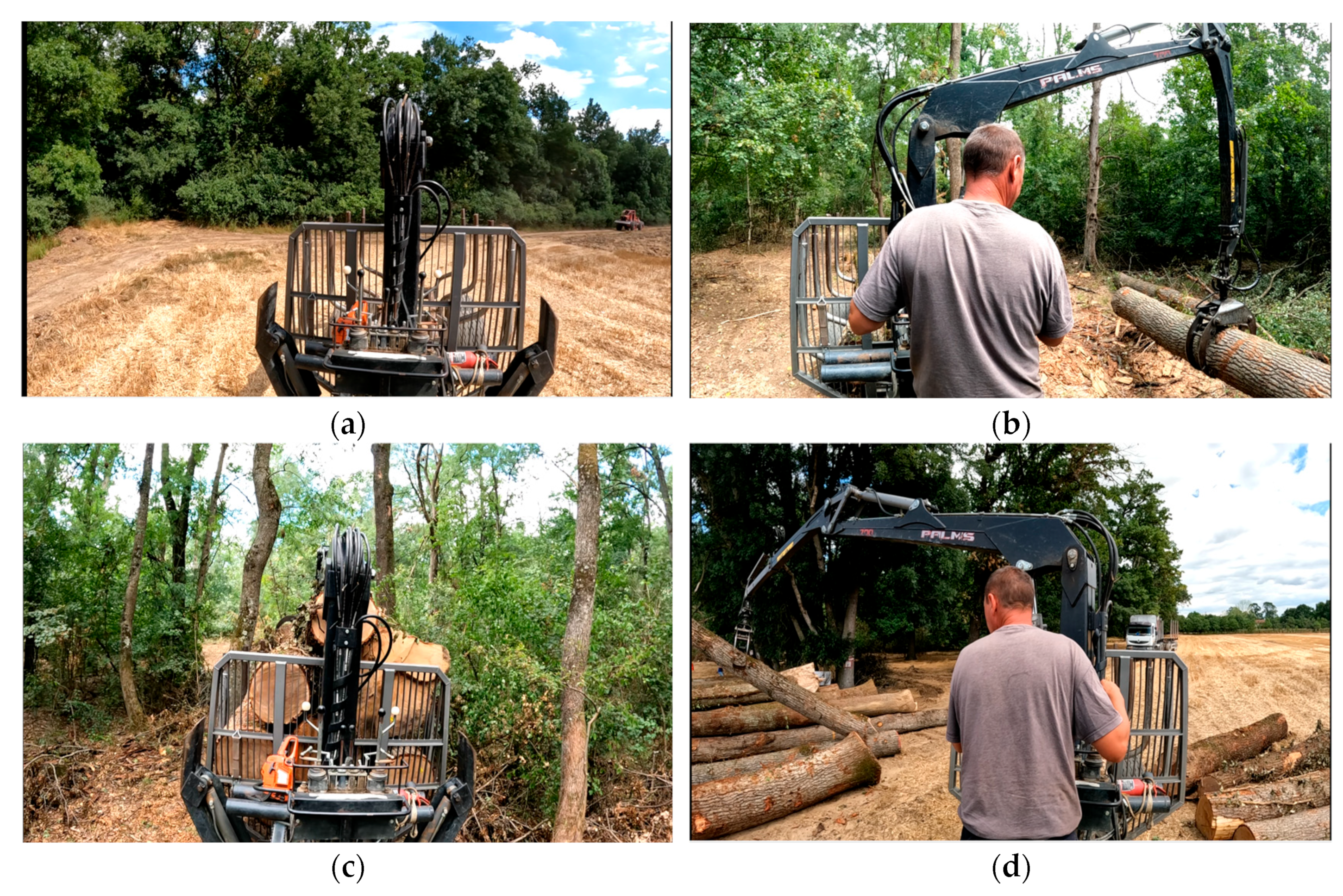 Forests 15 01422 g002 Forests 15 01422 g002