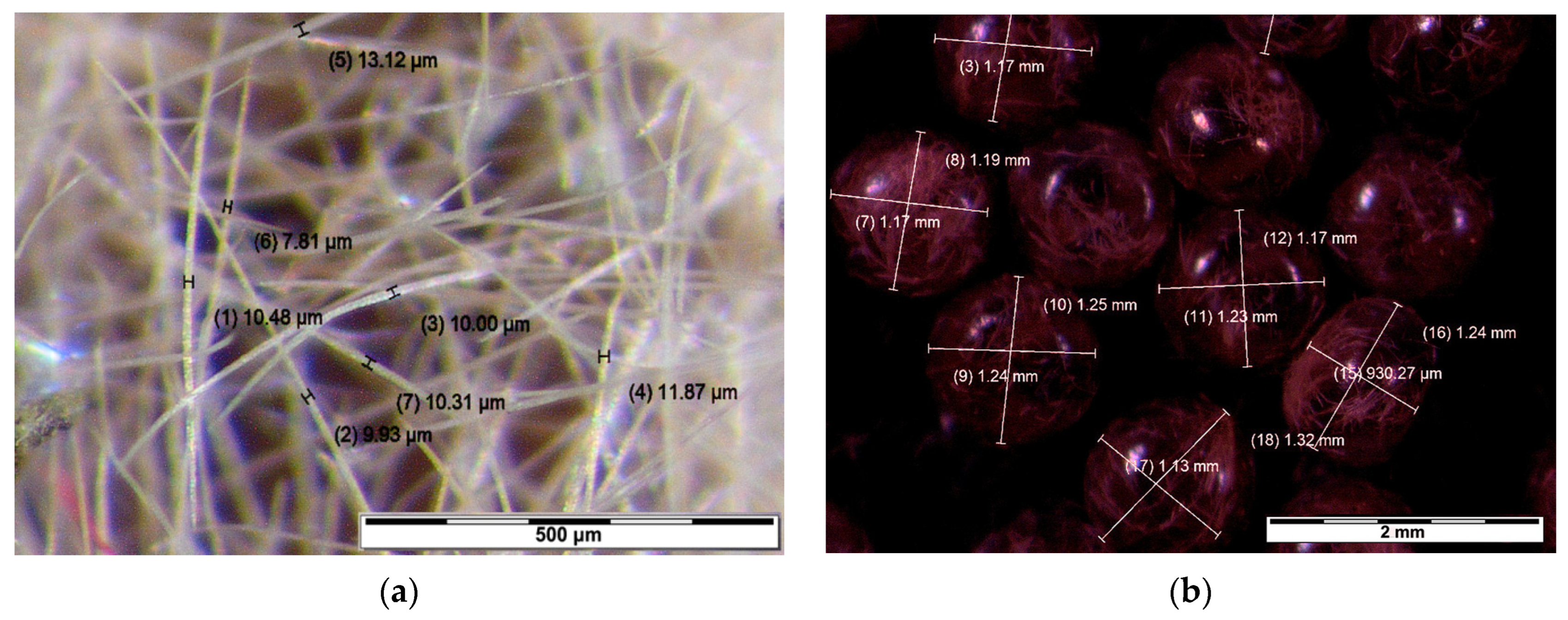 Forests 15 01426 g002