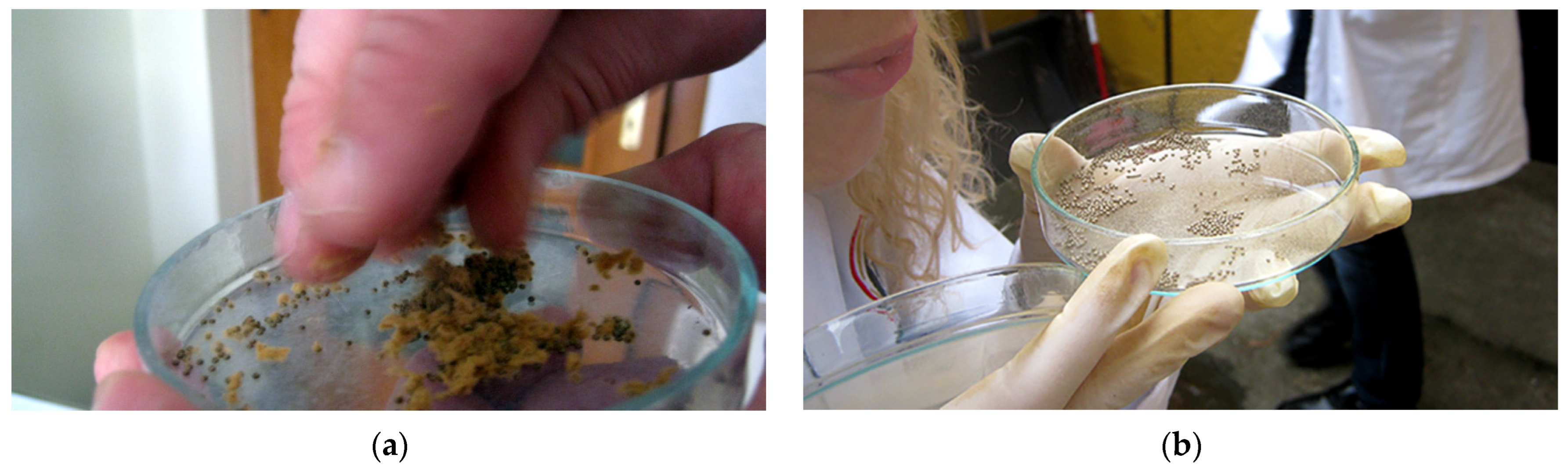 Forests 15 01426 g006