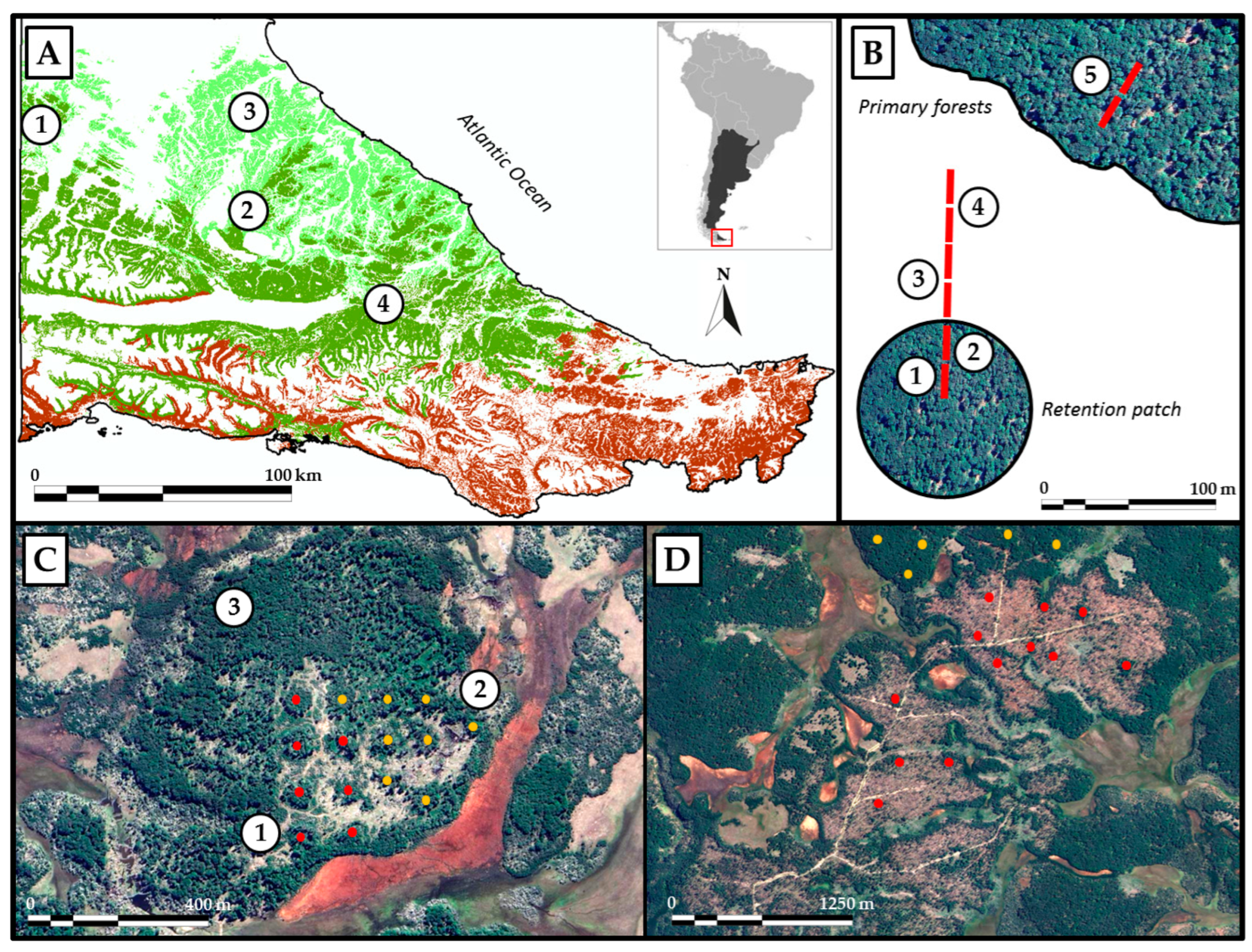 Forests 15 01432 g001