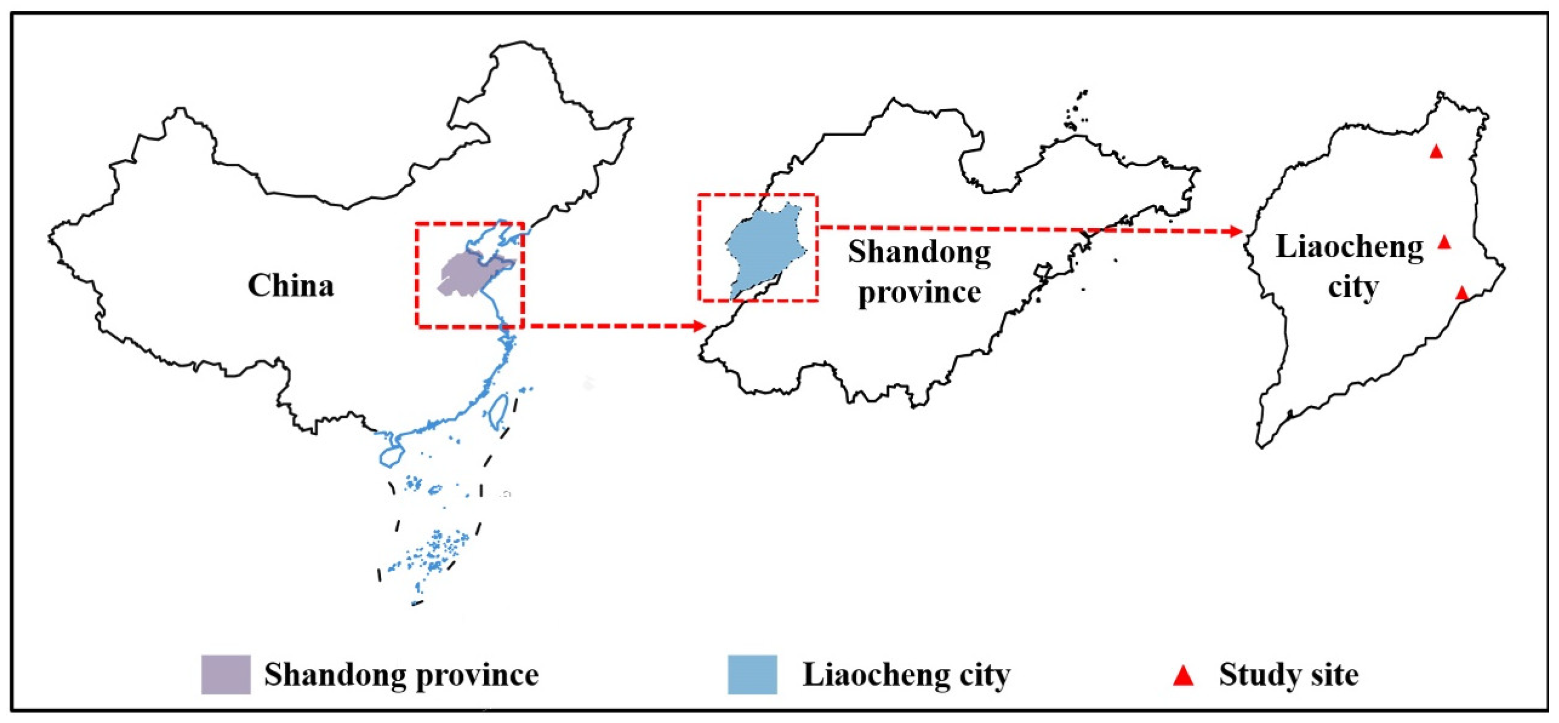 Forests 15 01433 g001