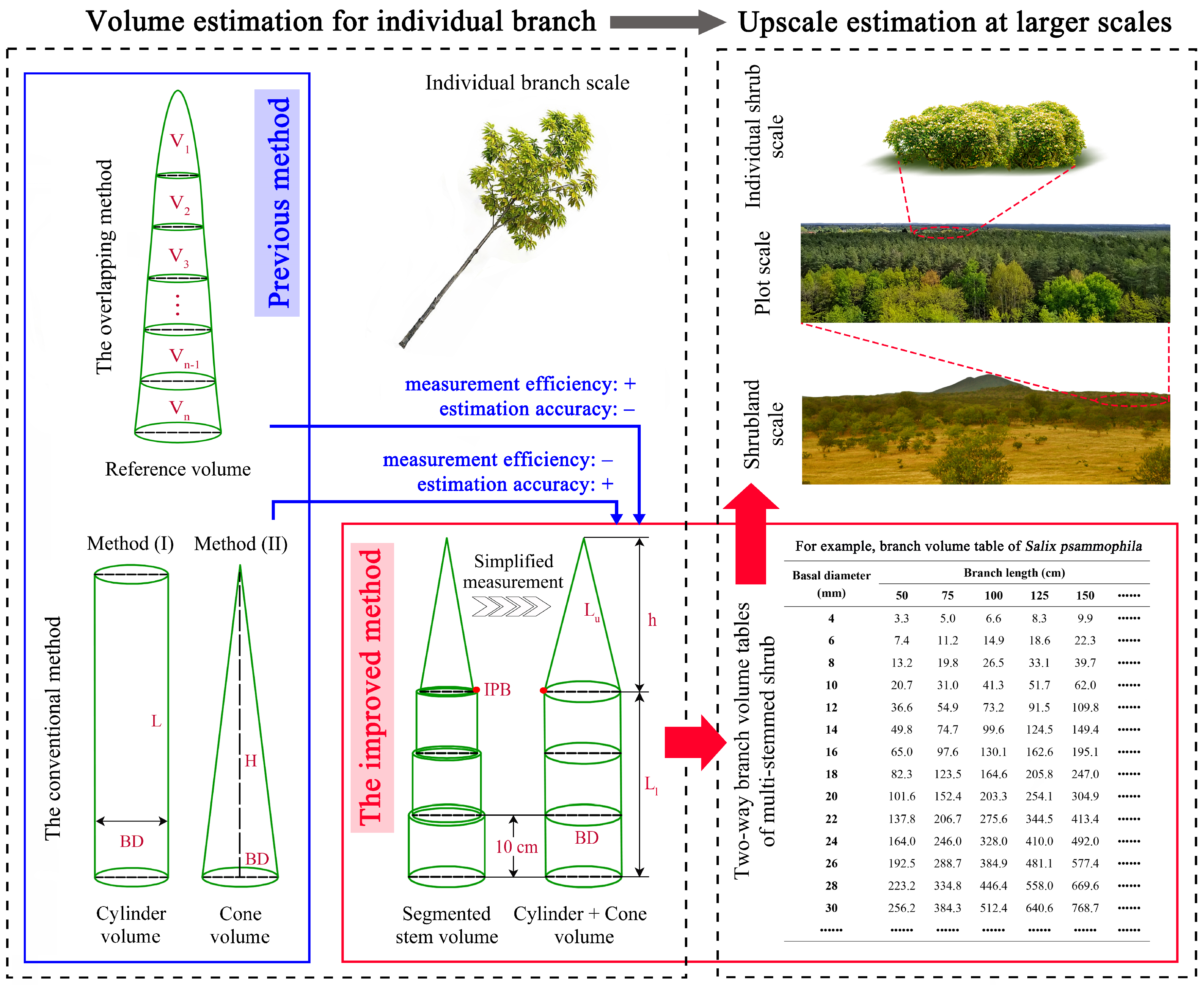 Forests 15 01437 g003
