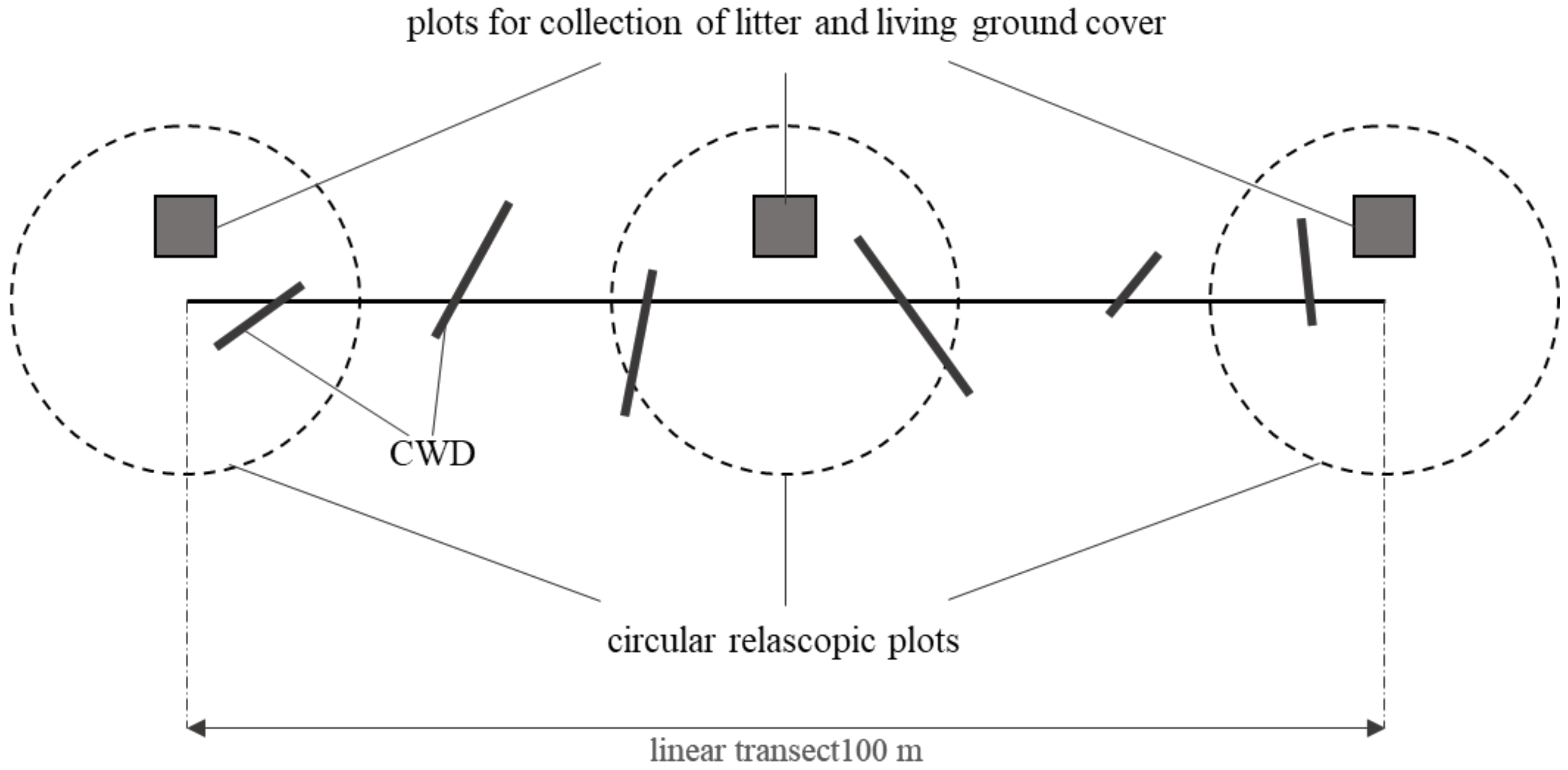 Forests 15 01448 g003