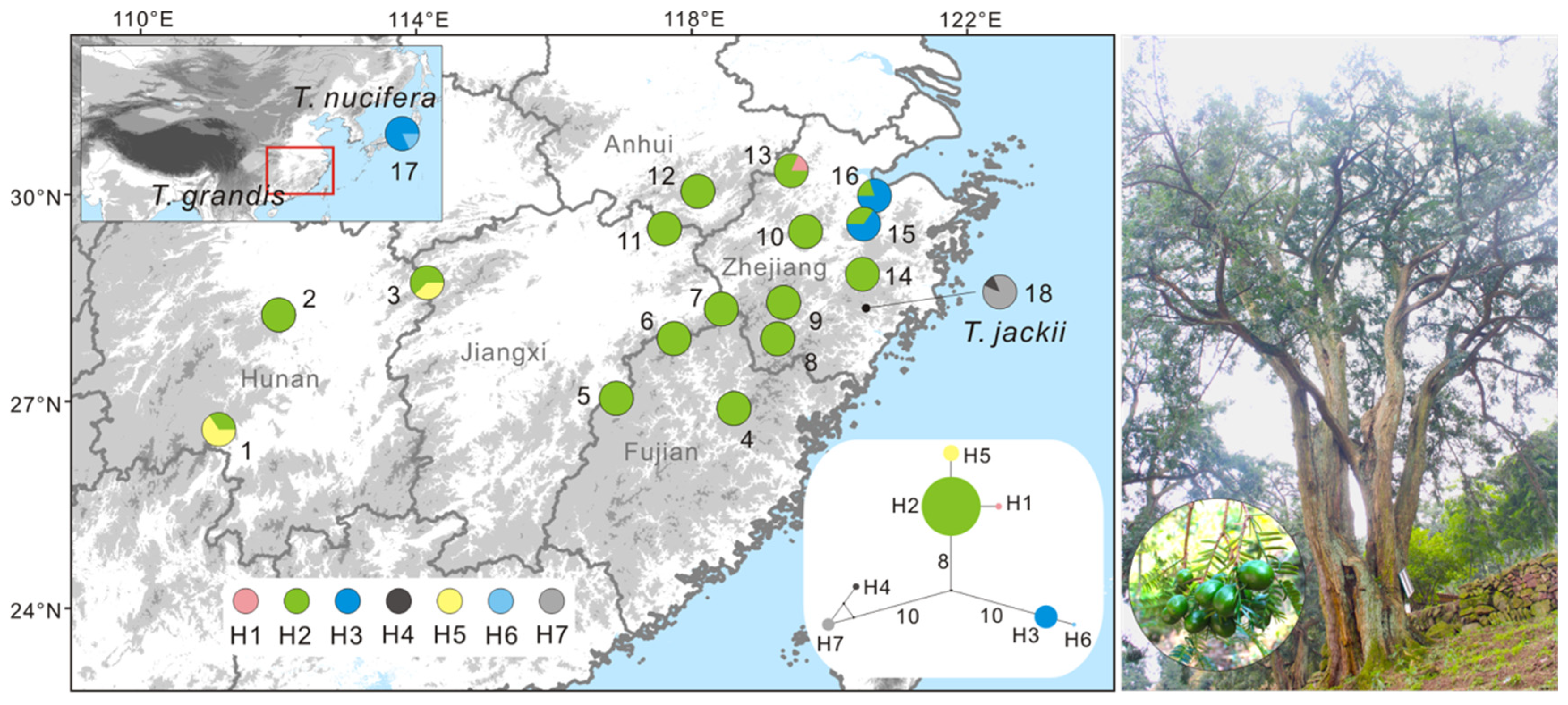Forests 15 01451 g001