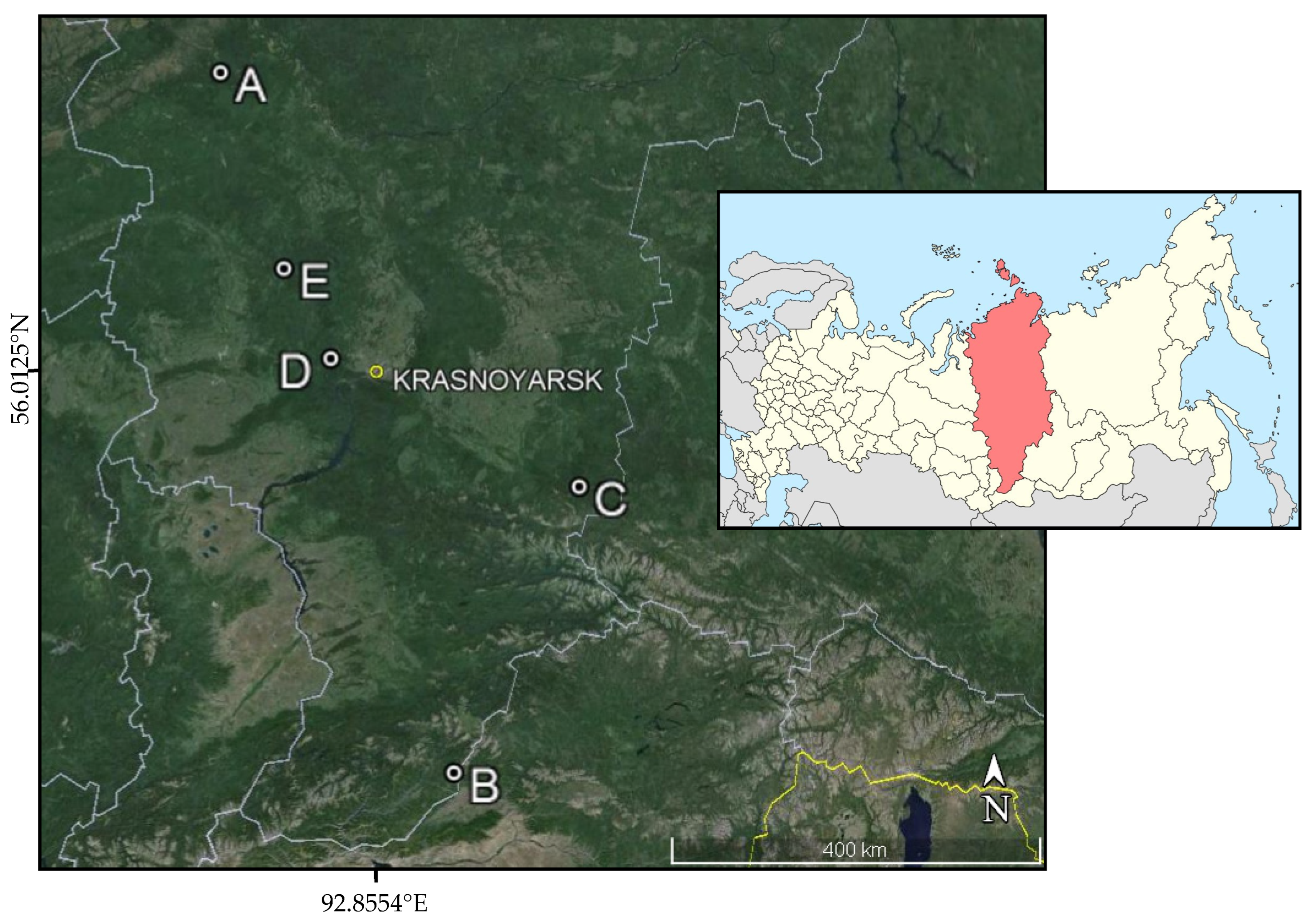 Forests 15 01458 g001