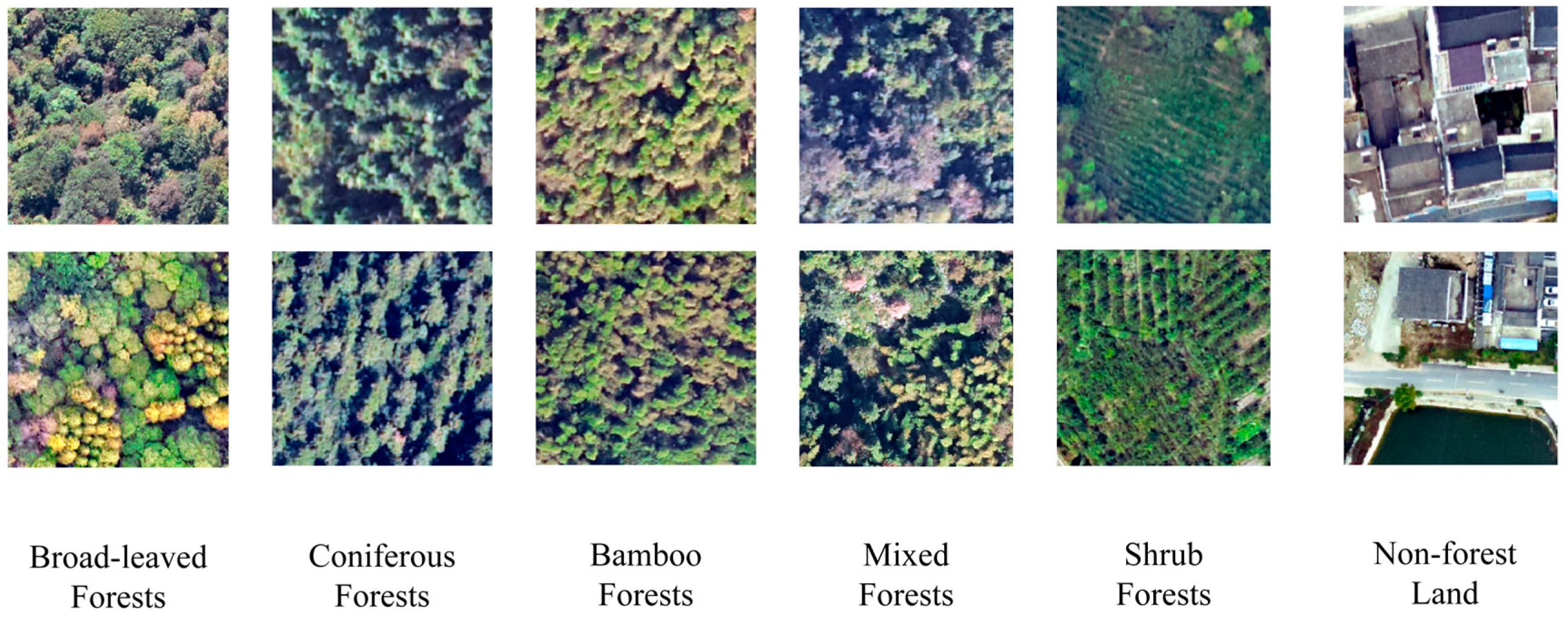 Forests 15 01467 g003