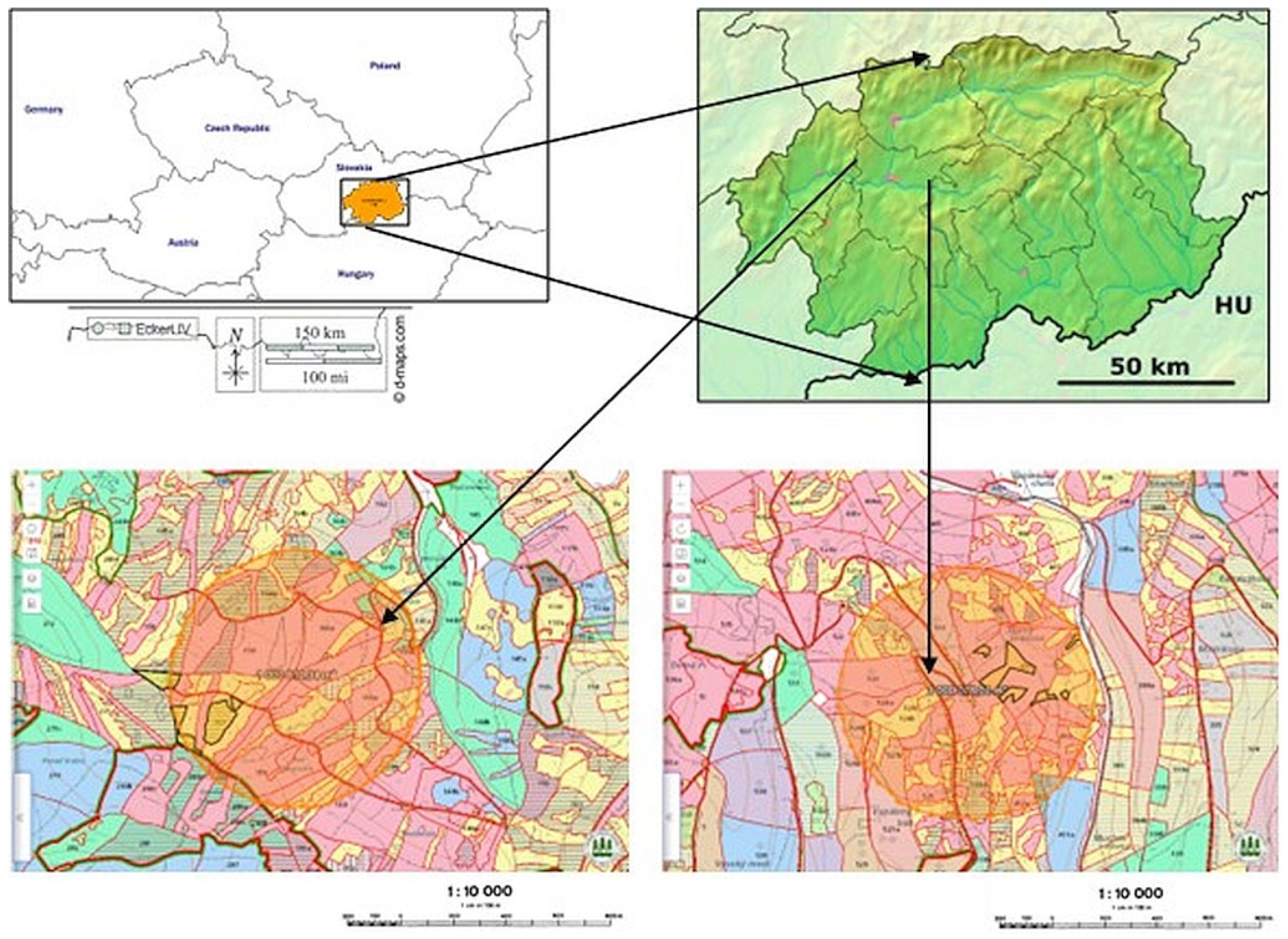 Forests 15 01499 g001 Forests 15 01499 g001