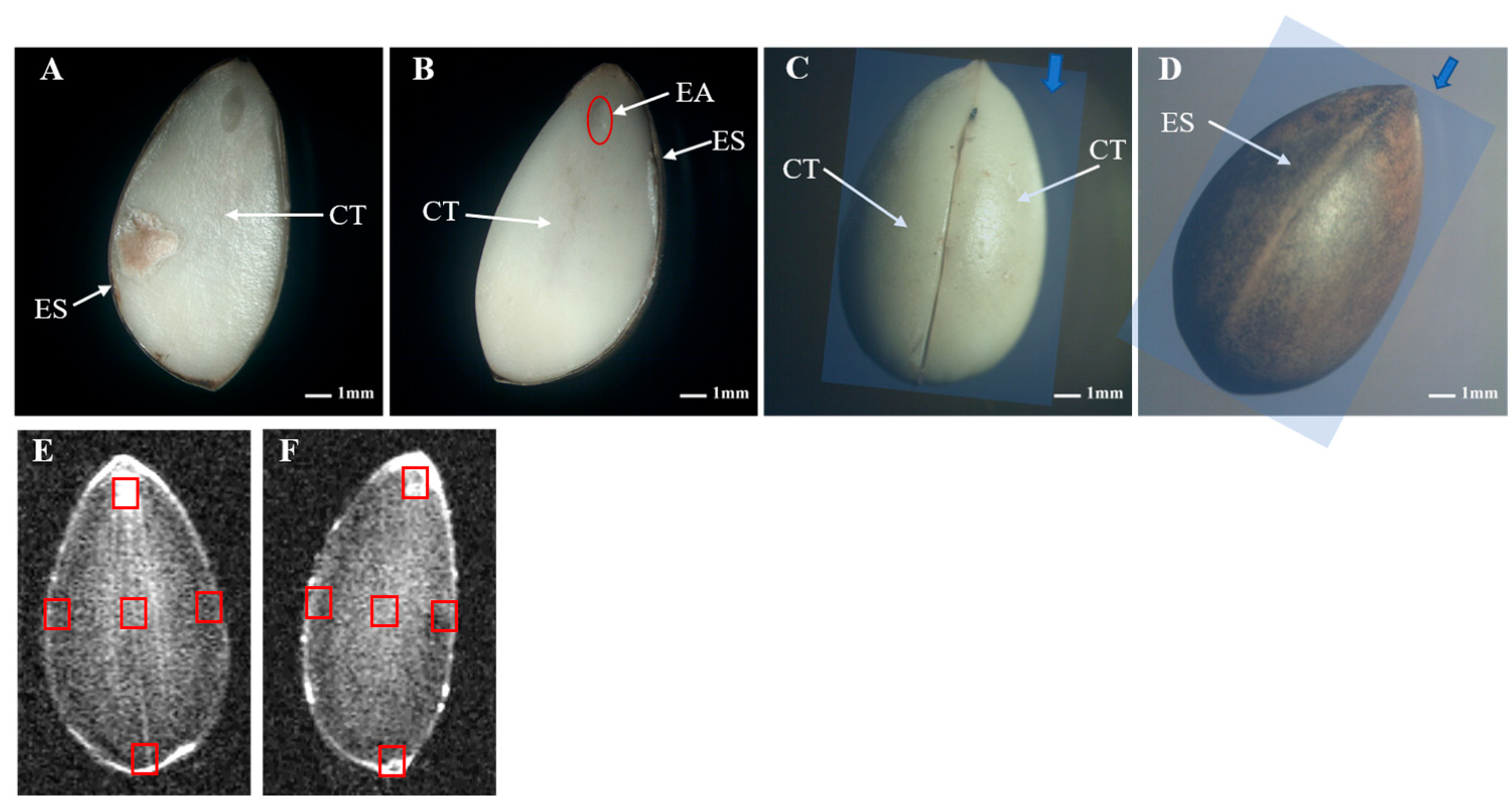 Forests 15 01508 g001