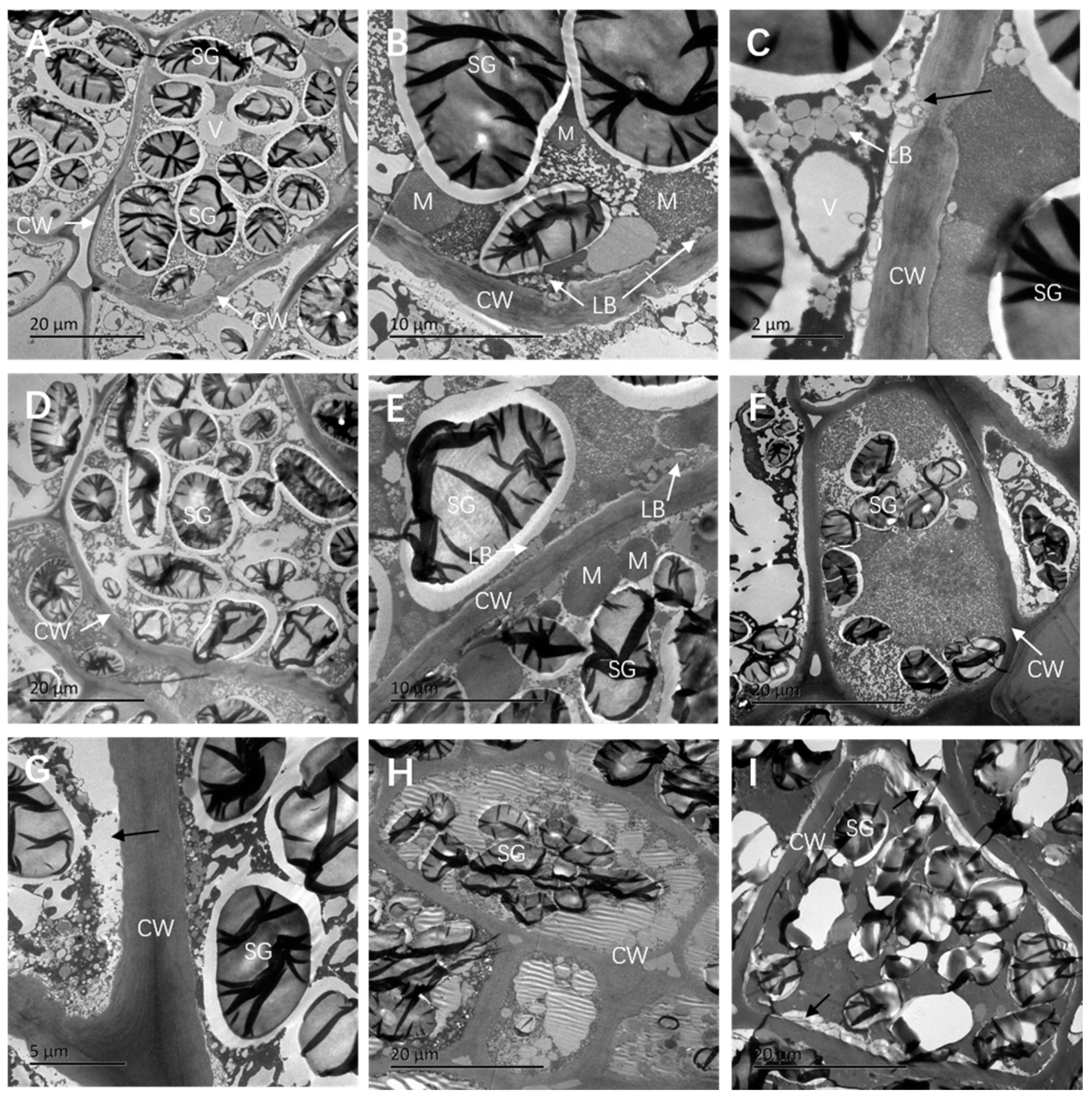 Forests 15 01508 g003