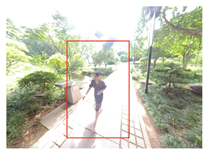 Forests 15 01519 i006